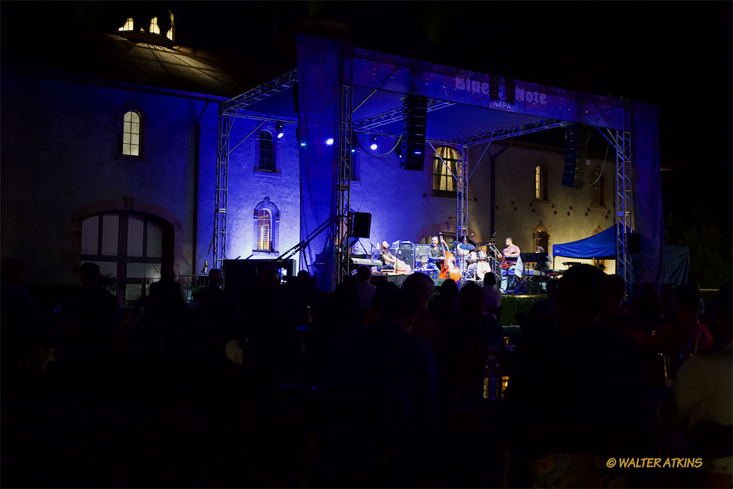 Stanley Clarke At Charles Krug Estate