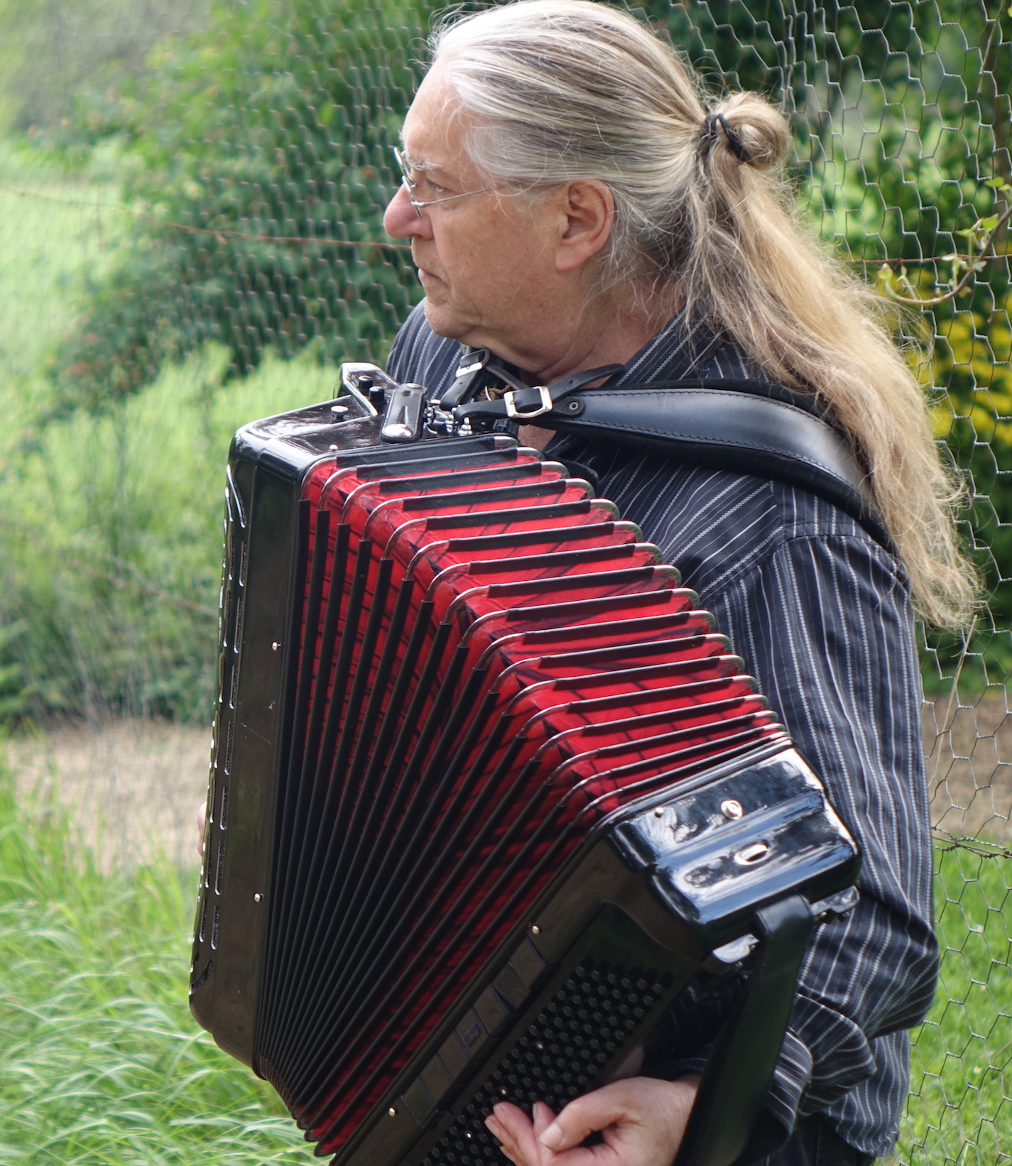 Accordion in the wild