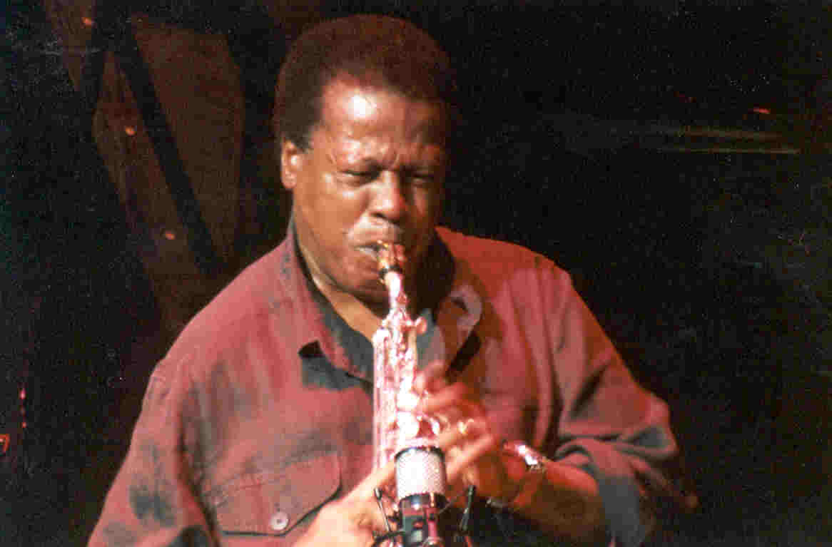 Wayne Shorter — jazz photo by Lee Whiteman | All About Jazz