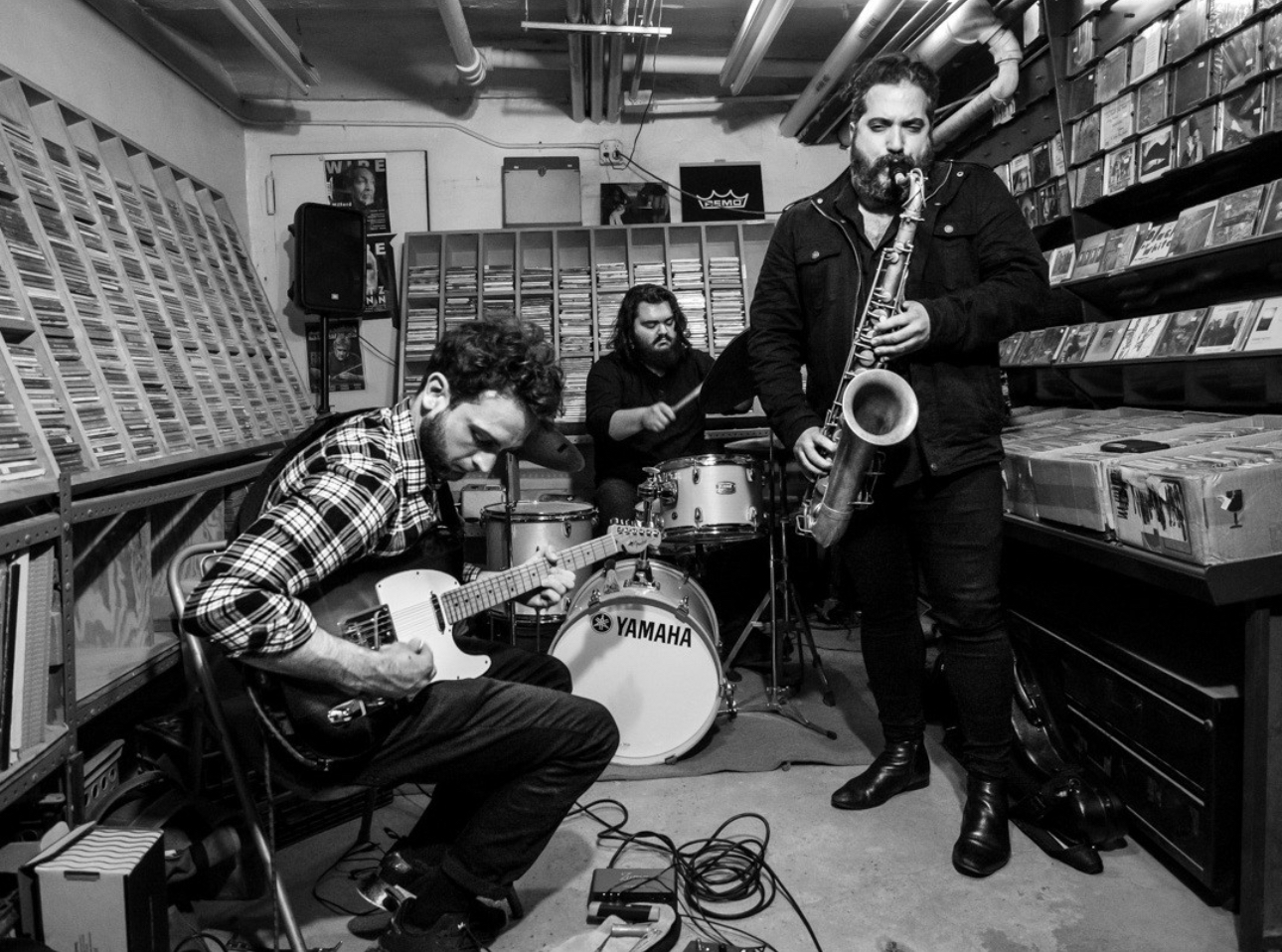 James Wengrow, Hery Paz, James Paul Nadien — jazz photo by James Wengrow | All About Jazz