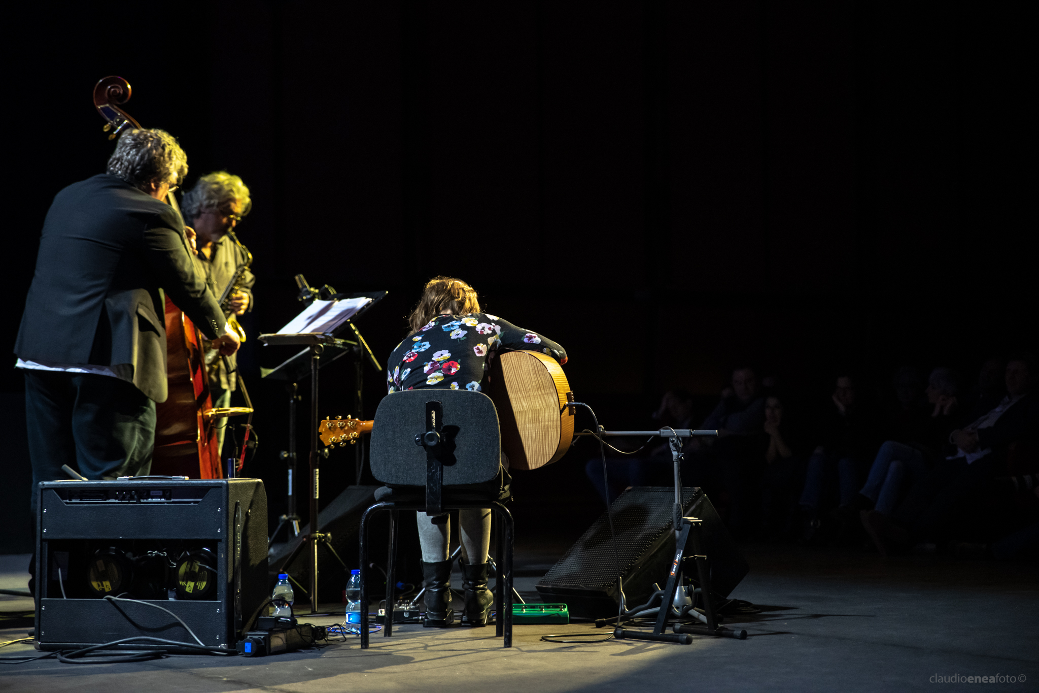 Michael Formanek's Very Pratical Trio - Auditorium Parco della Musica Roma 22.01.2019