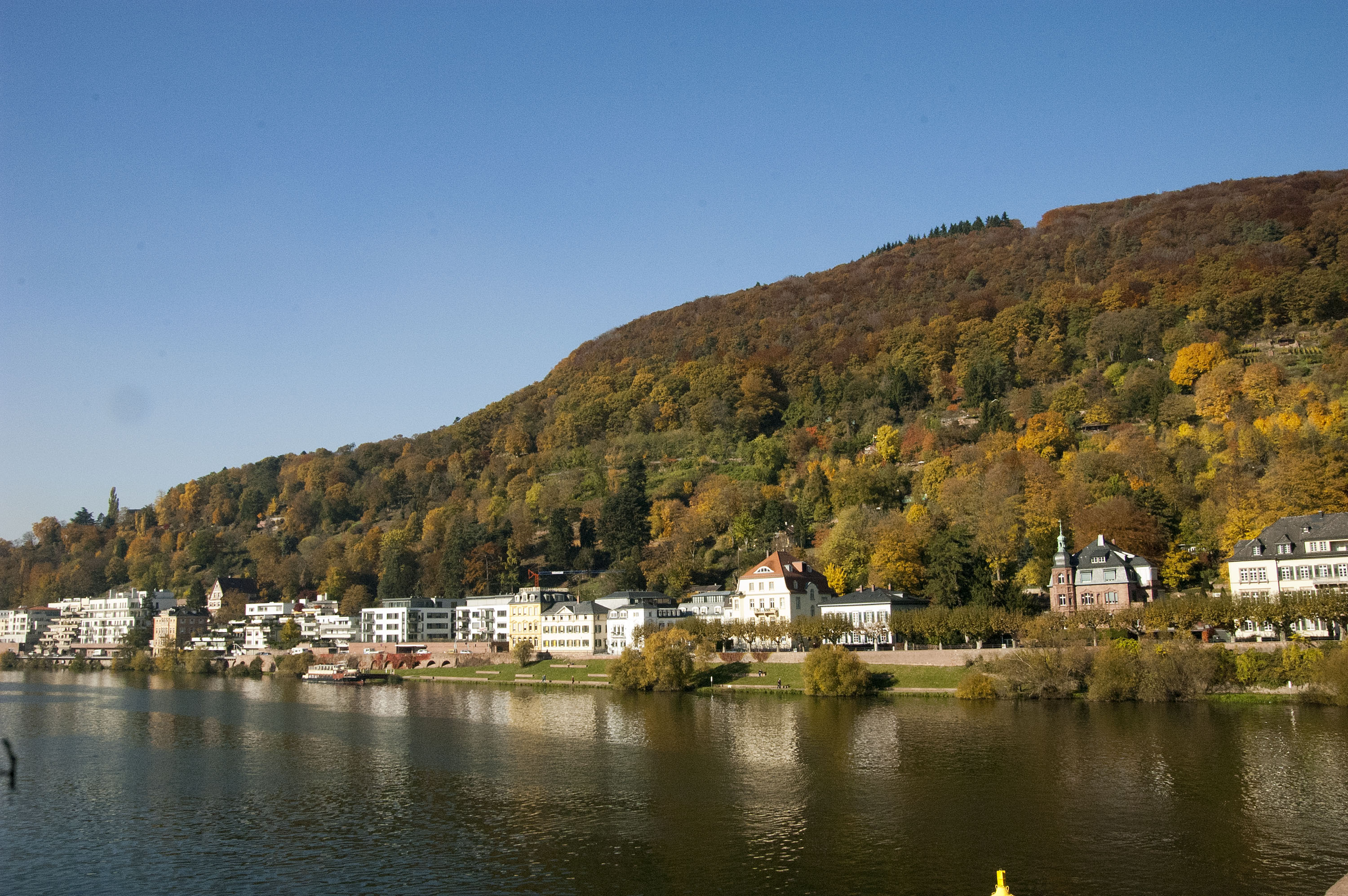 Images of Heidelberg, Enjoy Jazz 2011