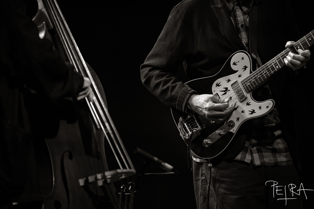 BILL FRISELL TRIO featuring THOMAS MORGAN & RUDY ROYSTON