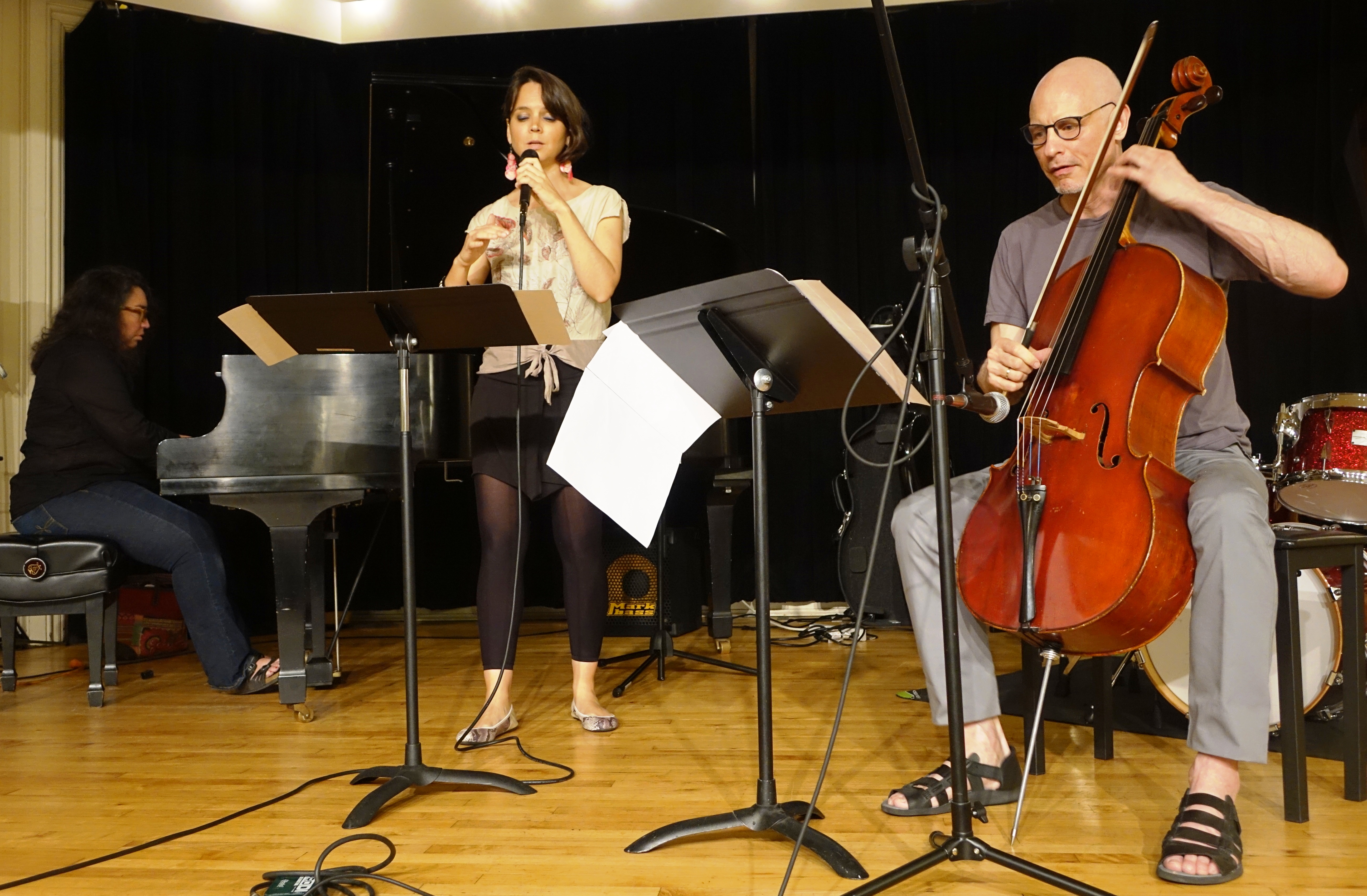 Angelica Sanchez, Sara Serpa and Erik Friedlander at the Brooklyn Conservatory of Music in May 2018 