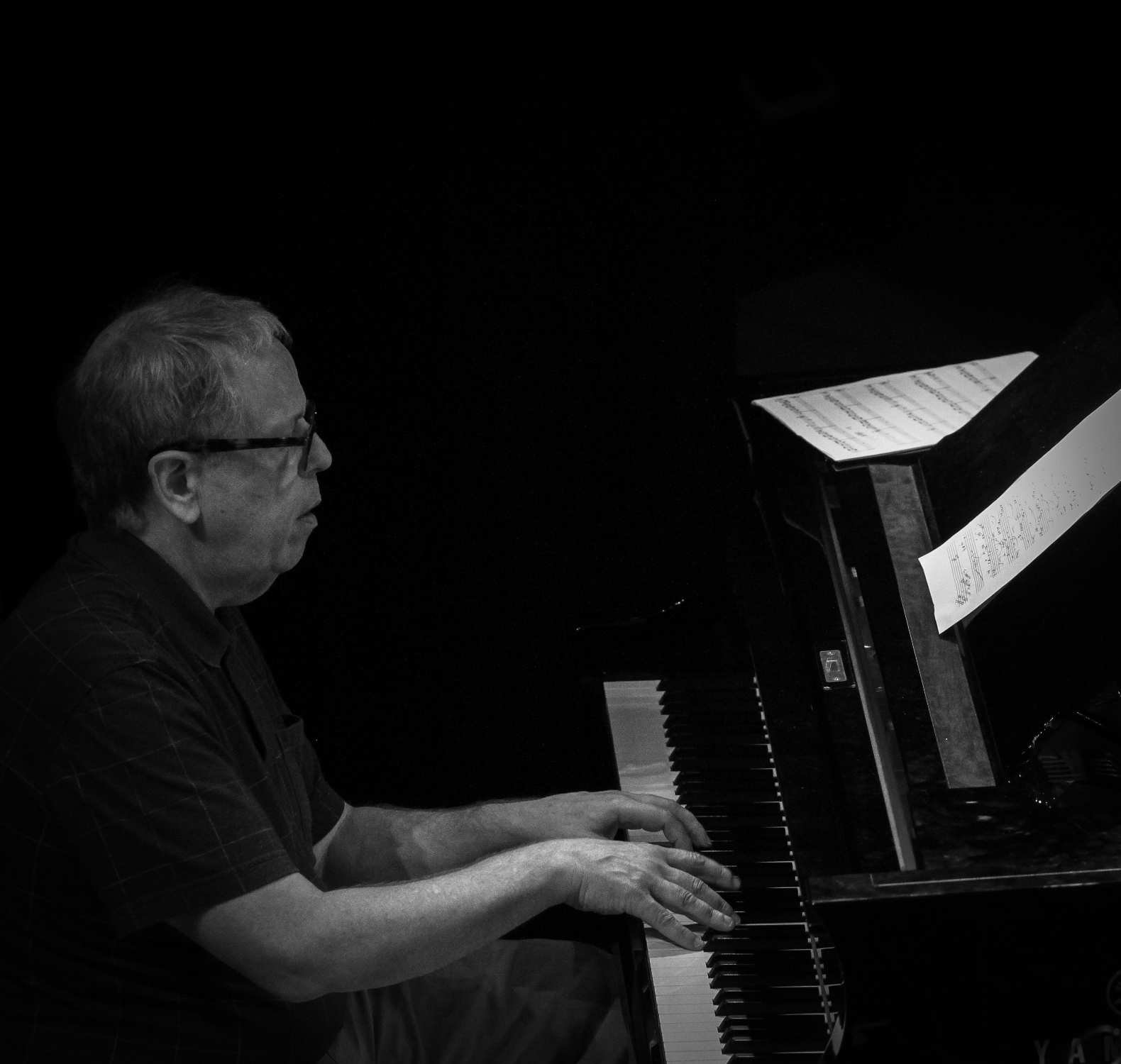 Kenny werner, valby summer jazz 2013, copenhagen, denmark