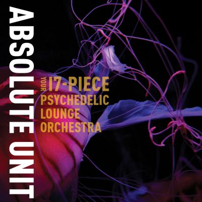 John Korsrud's Absolute Unit