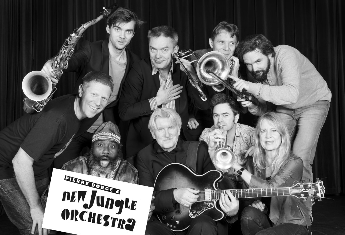 New Jungle Orchestra