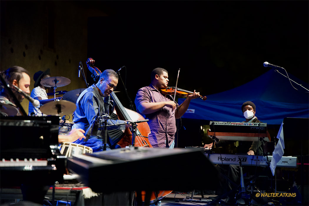 Stanley Clarke At Charles Krug Estate