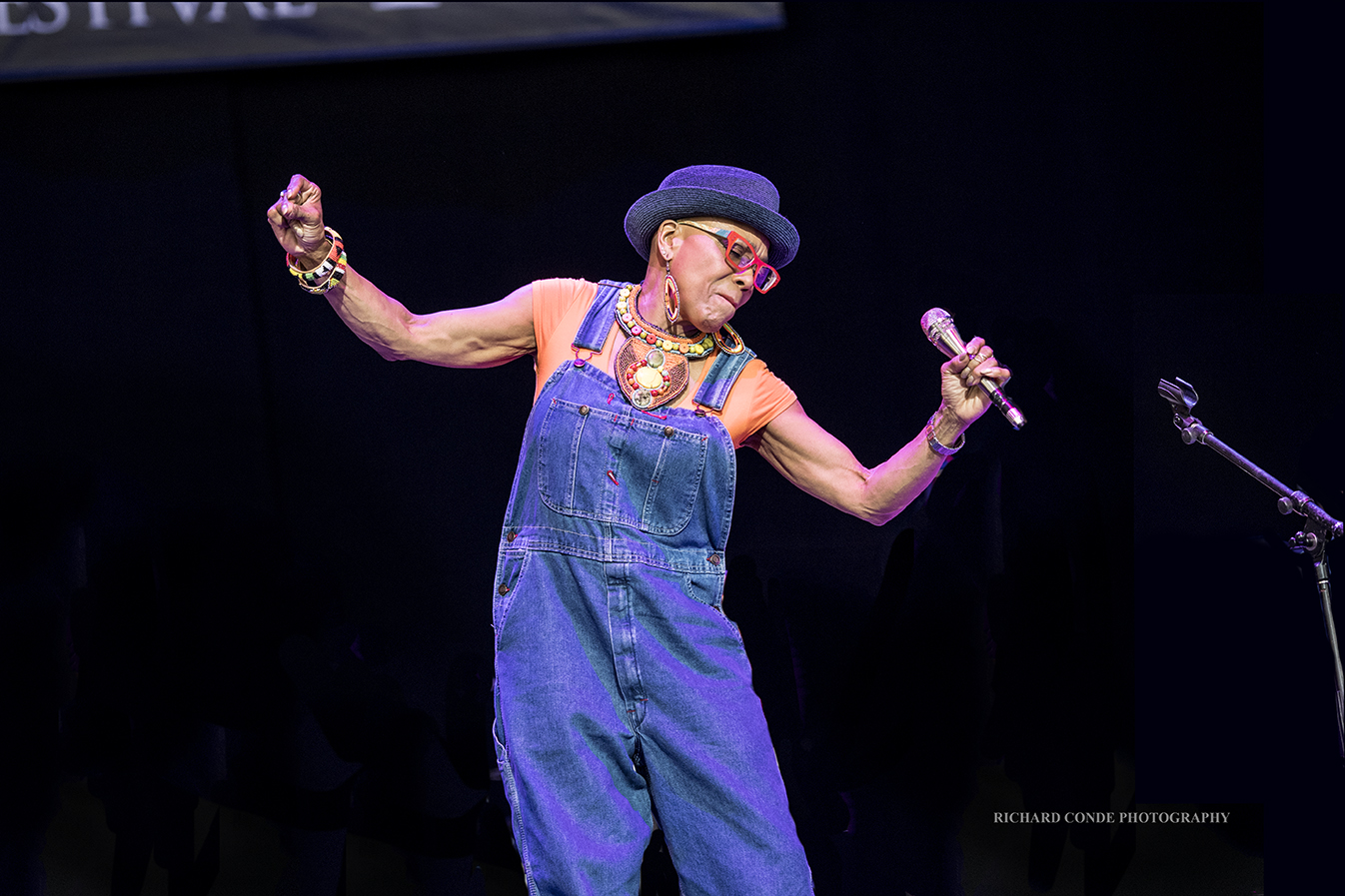 Dee Dee Bridgewater at the Freihofer Saratoga Jazz Festival 2017