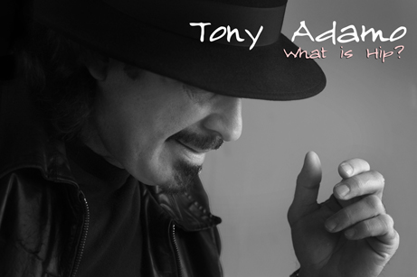 Tony Adamo What is Hip