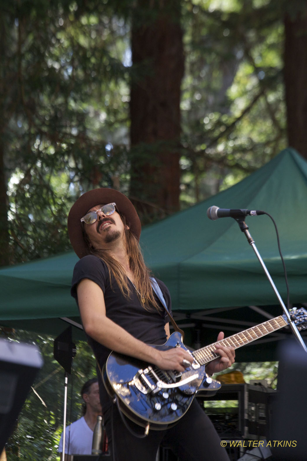 Eric Burdon At Stern Grove Festival 2017