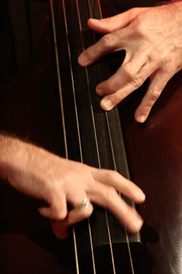 The Hands of Drew Gress with the "Marc Copland Trio" at the Sud Des Alpes, Amr, Geneva, Switzerland, 2005