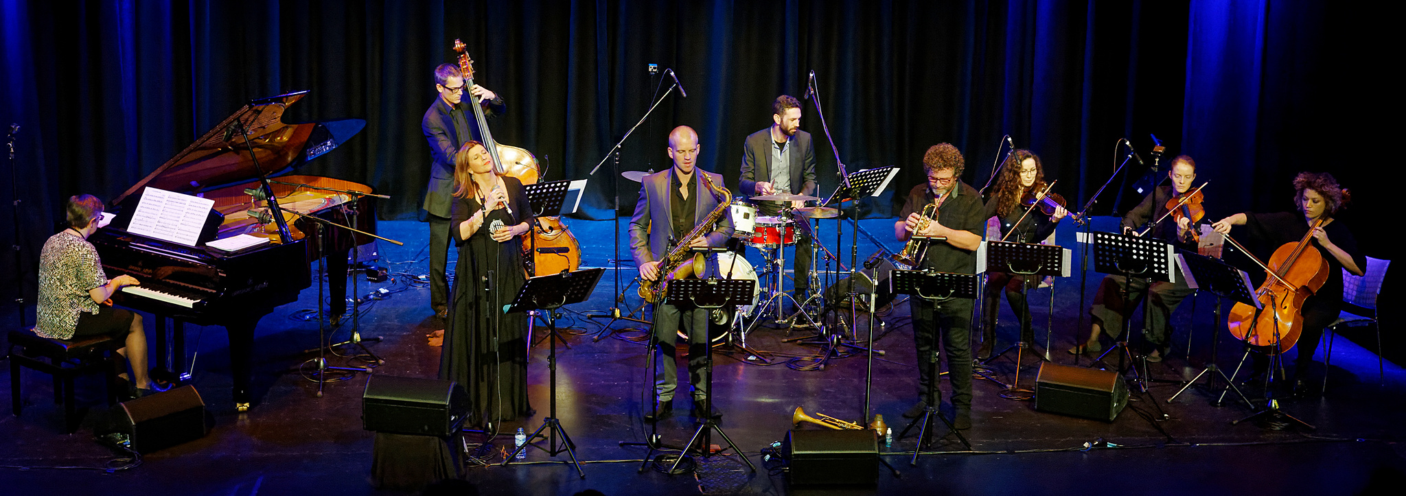 Wild Silk Strings Project @ Brisbane Multicultural Centre