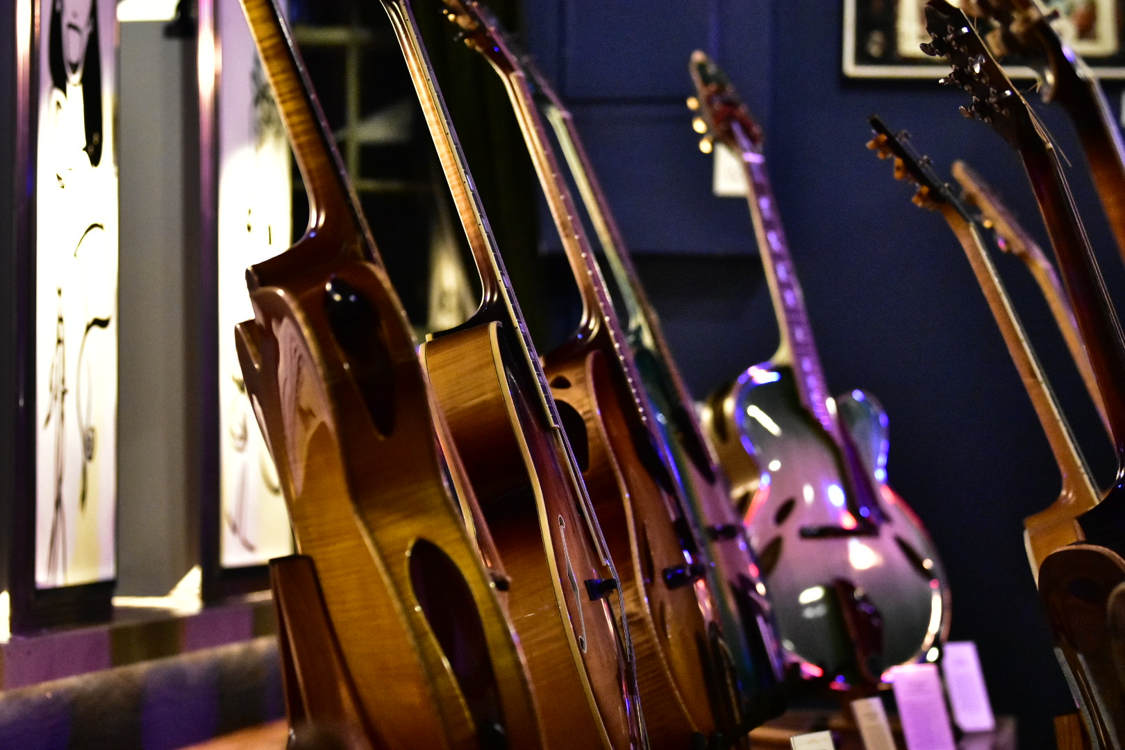 Guitar Display (Partial)