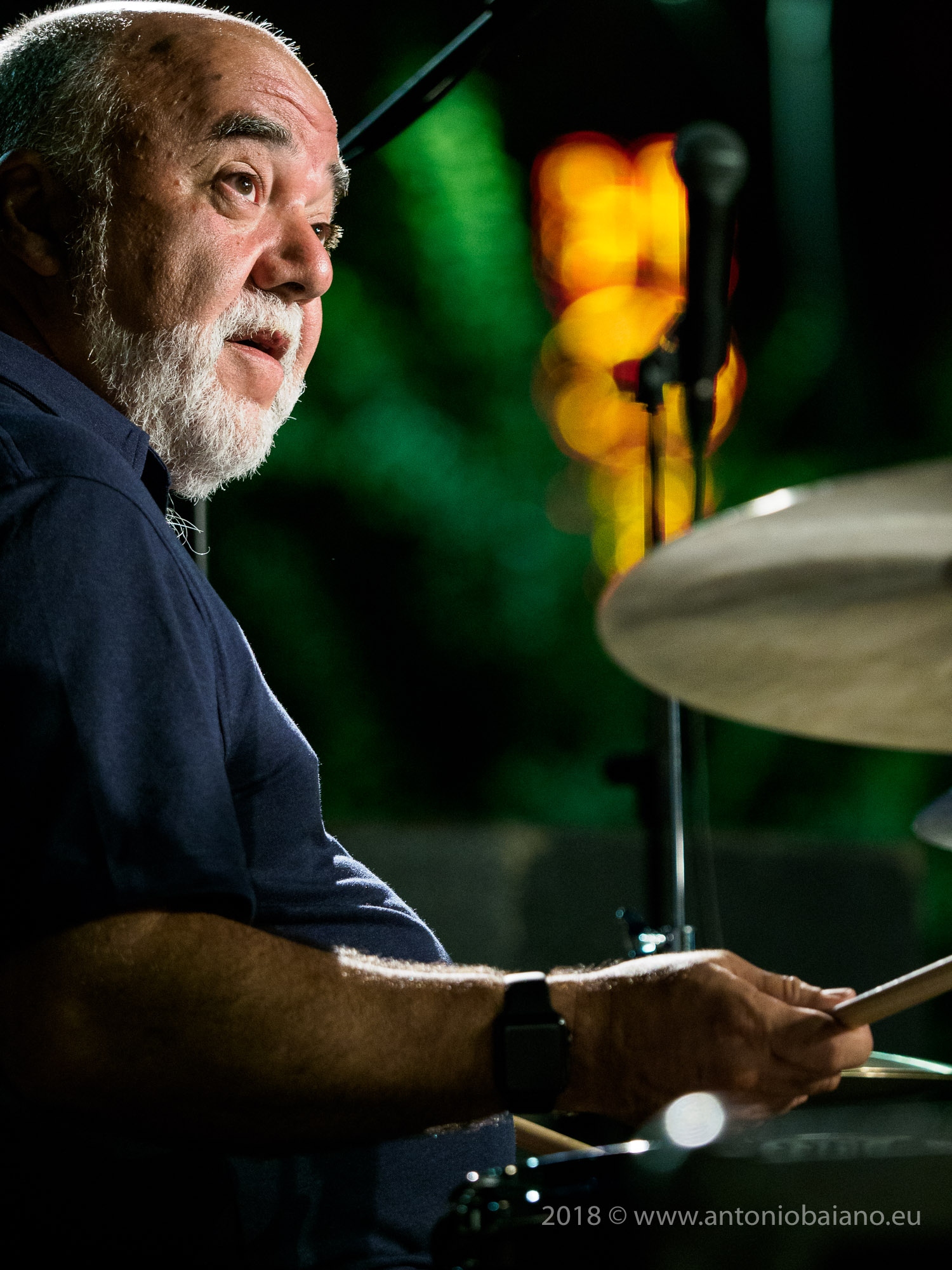 Peter Erskine - The Art of the Quartet