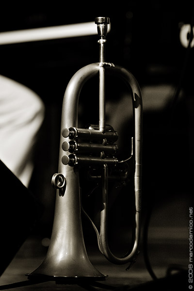 Andy Gravish, Flugelhorn. Copyright marcodamico.net - Do Not Reproduce