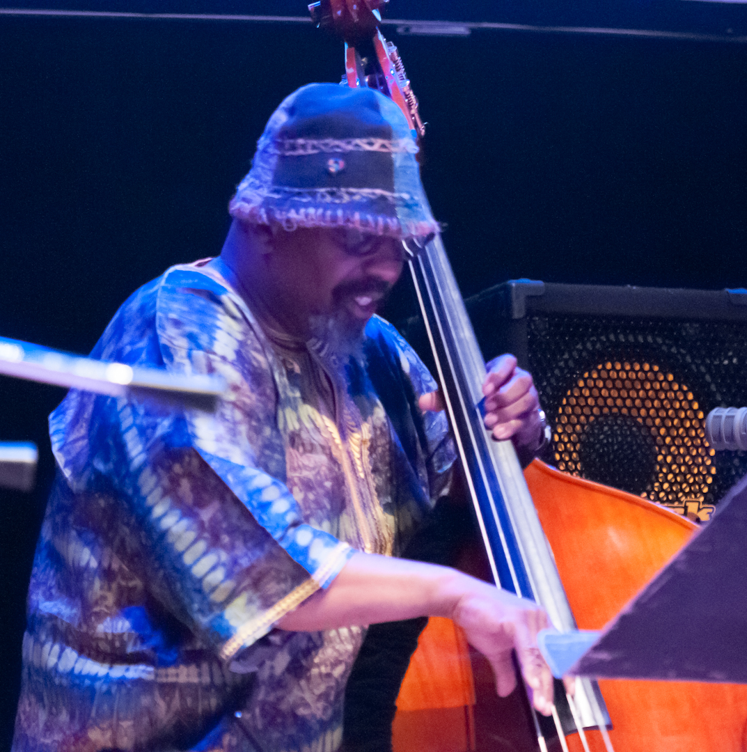 William Parker with Farmers by Nature at the Vision Festival 2012