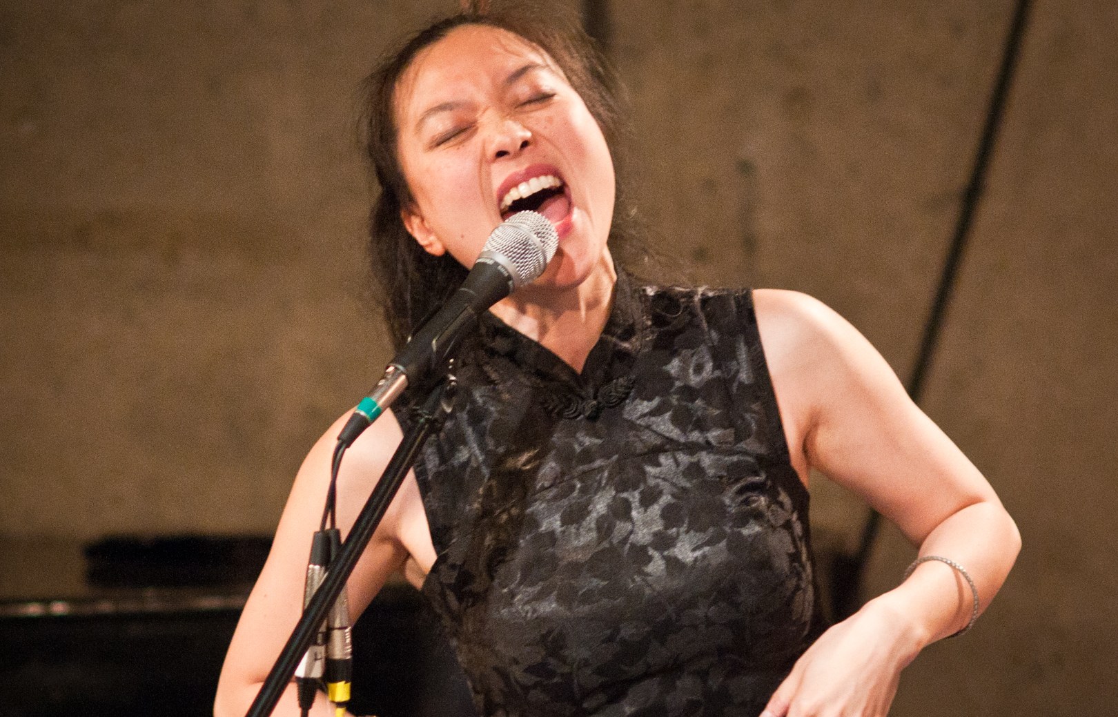 Jen Shyu with Raging Waters, Red Sands at the Vision Festival 2011