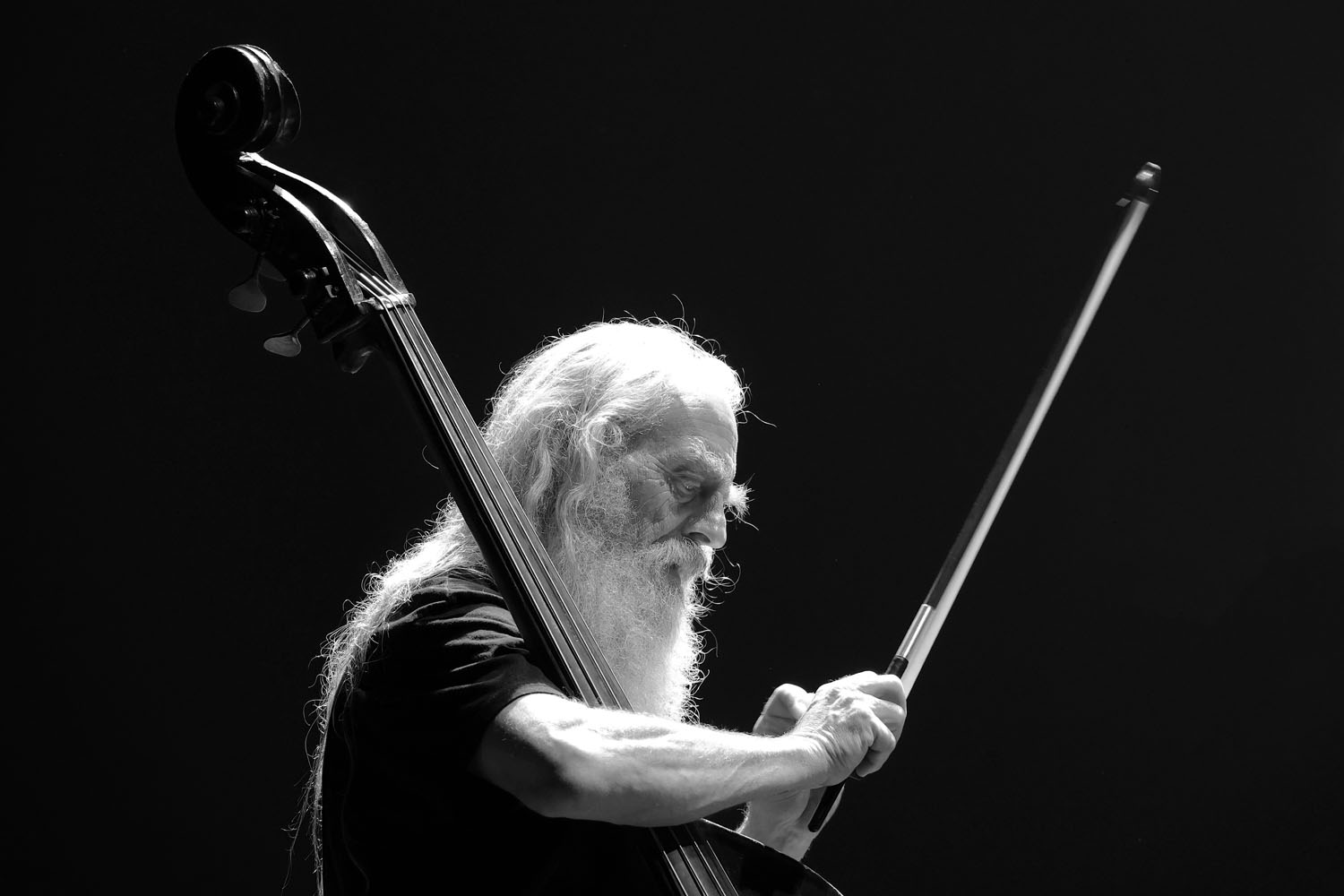 Sebastian Steinberg
