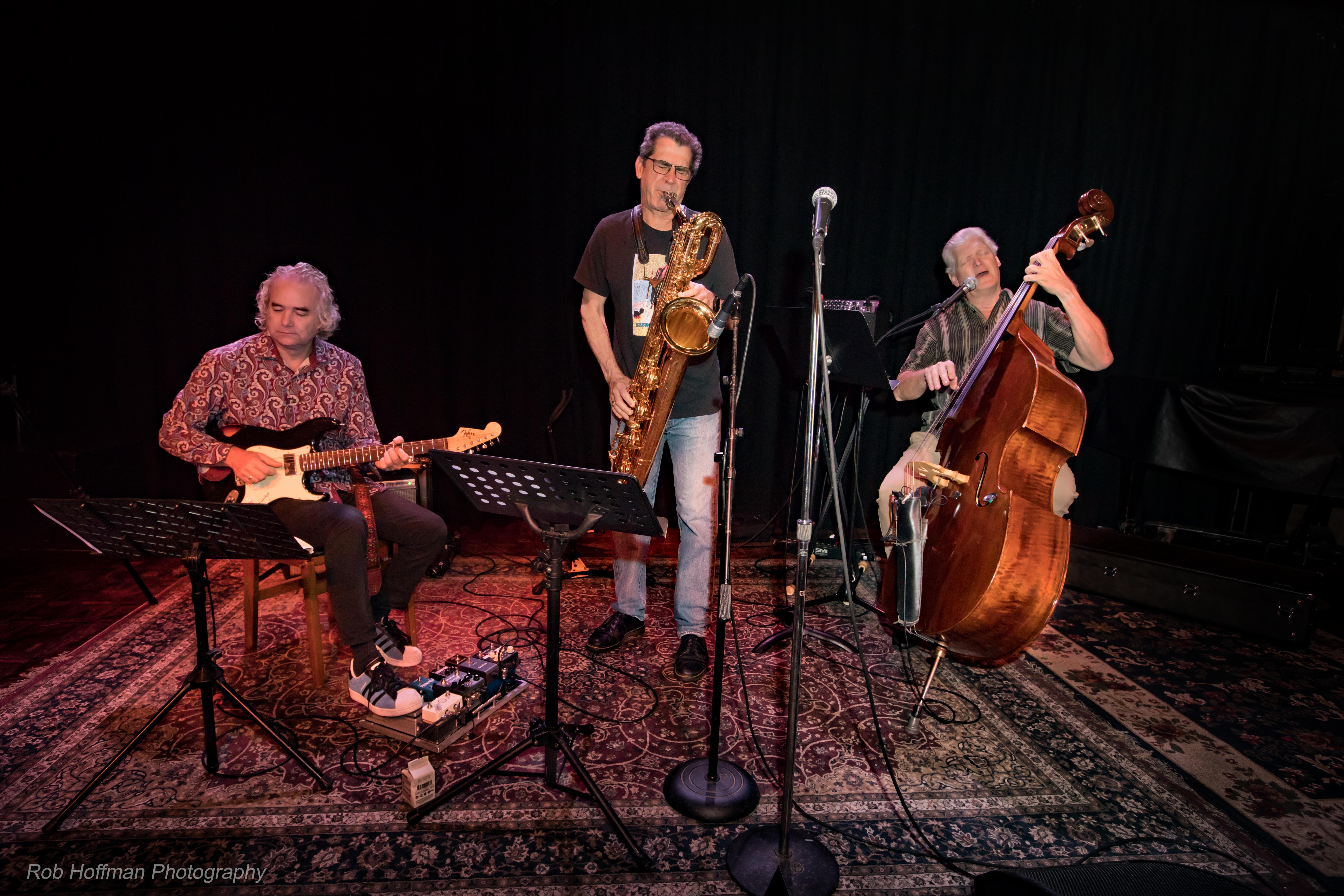 Schnack 'n Bari Trio With Nate Birkey