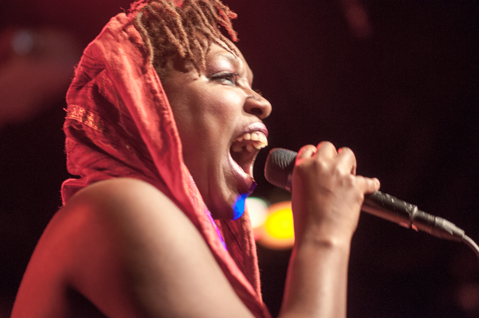 At le Poisson Rouge at Winter Jazzfest 2013