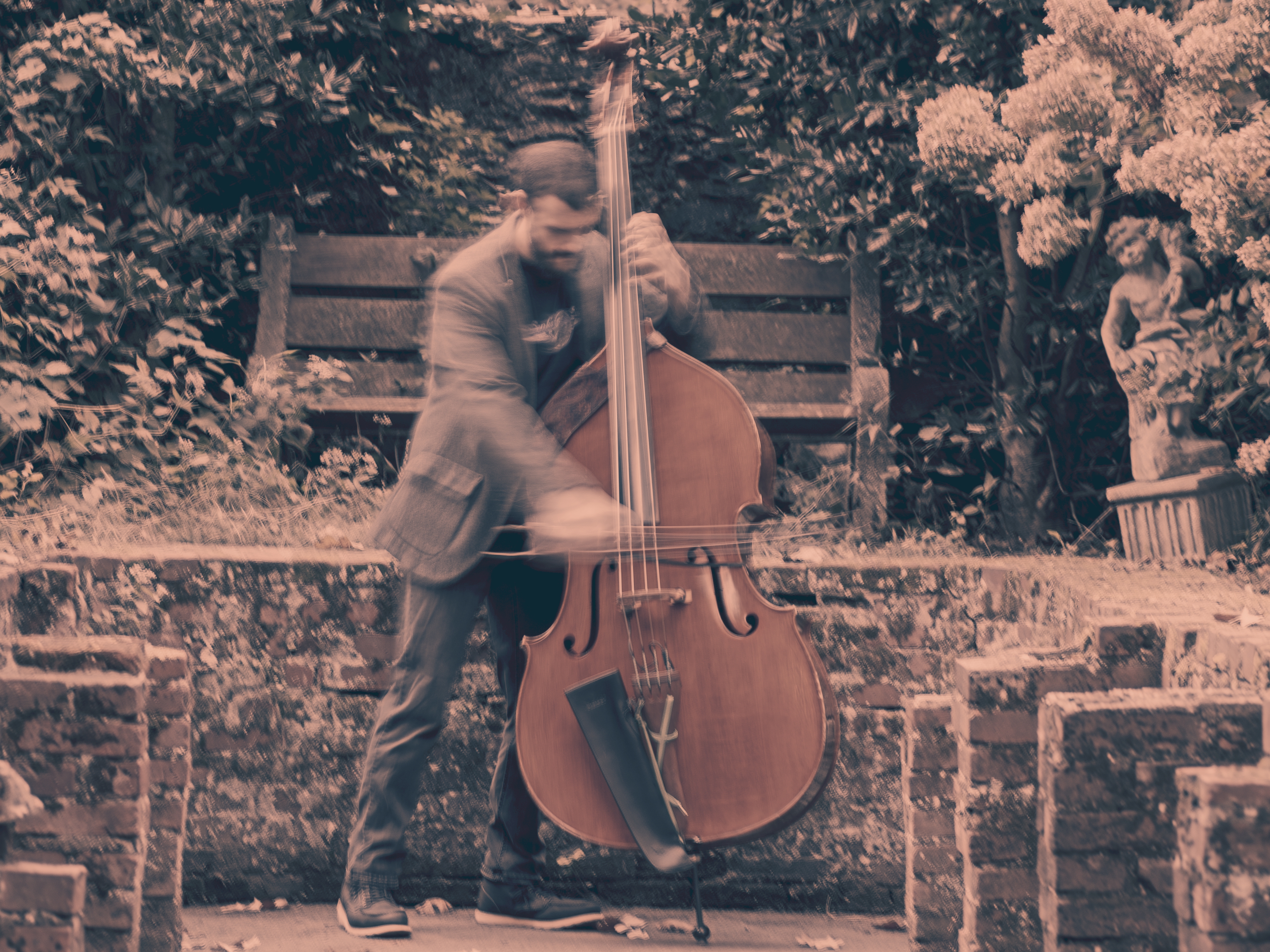 Untitled Jazz Photo
