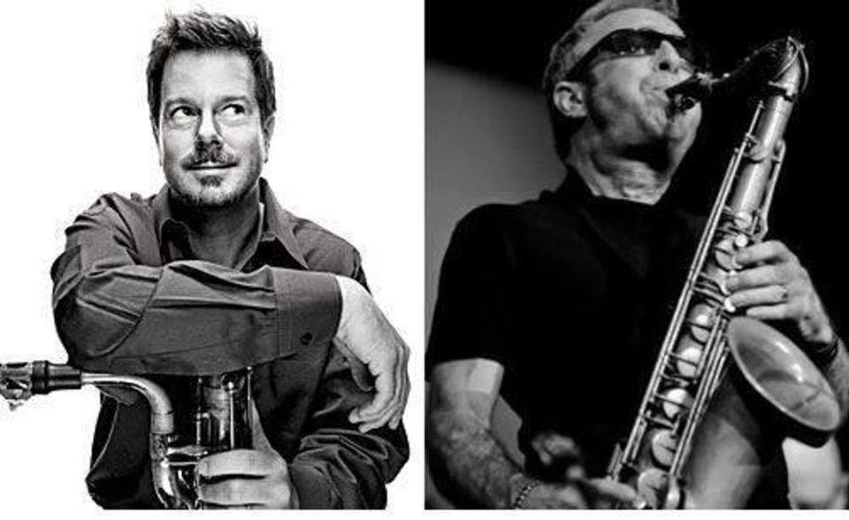 Cinghiale (ken Vandermark & Mars Williams) & Steve Marquette