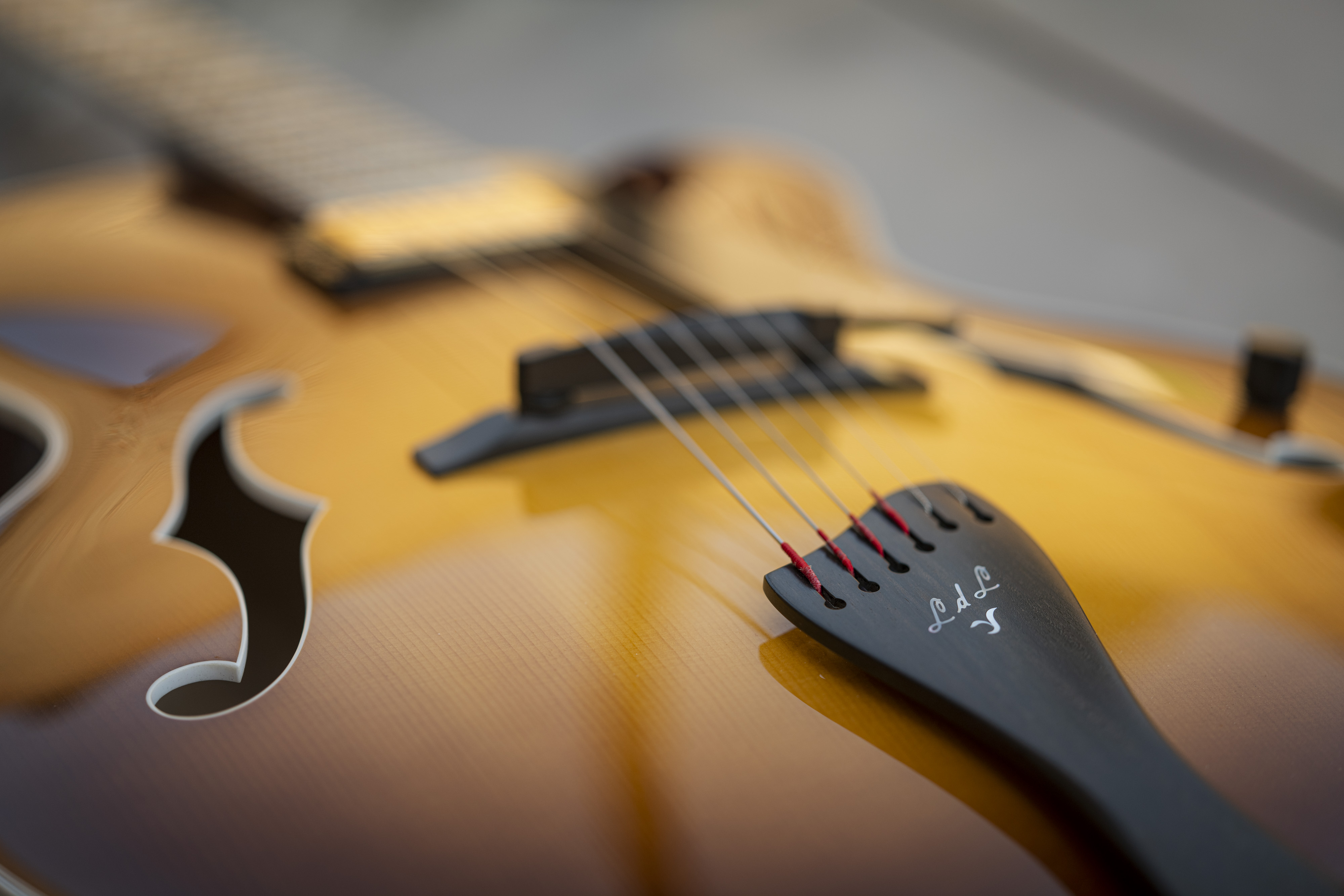 Benedetto Guitar