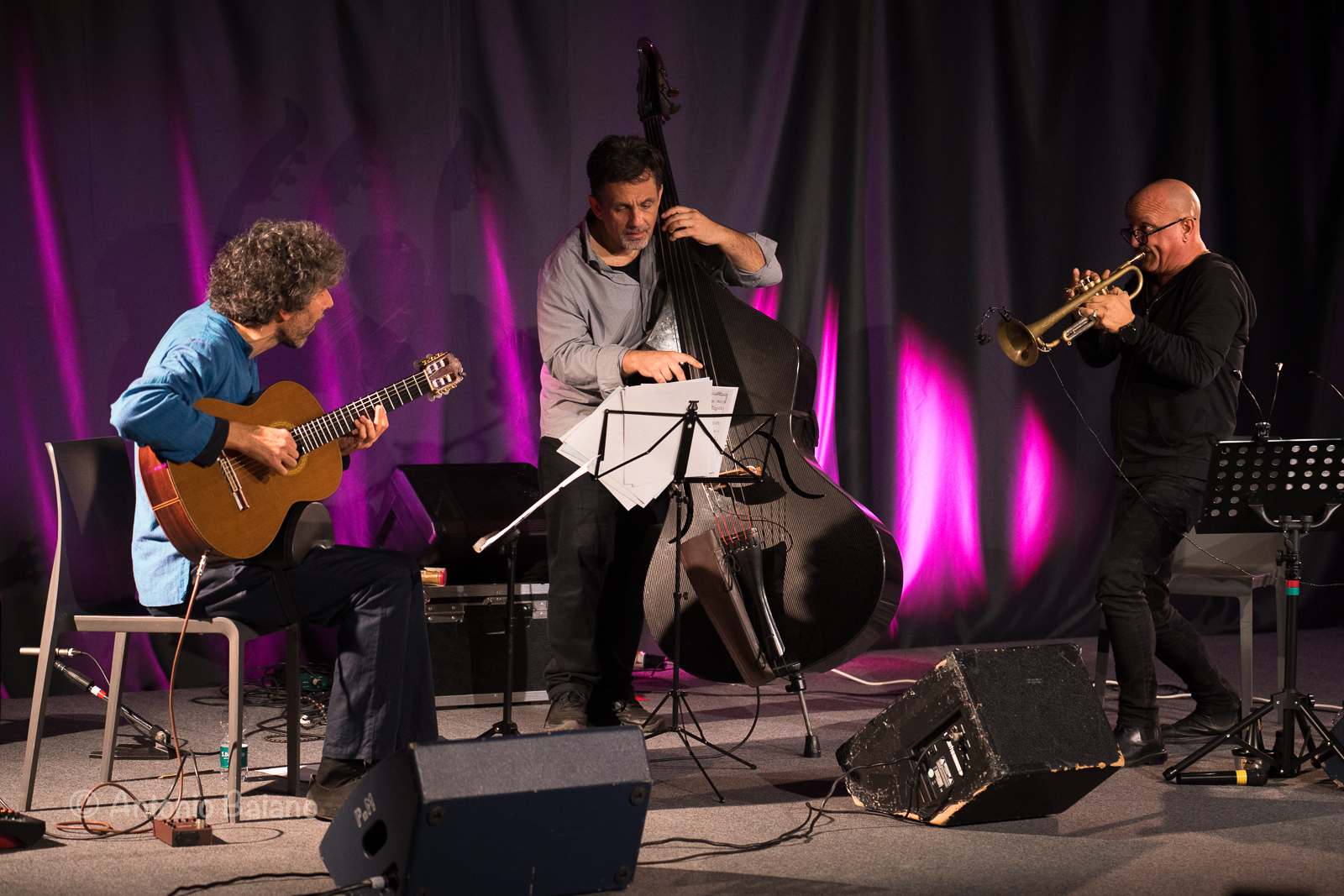 Falzone/Ballestrero/Liberti Acoustic Trio — jazz photo by Antonio Baiano | All About Jazz
