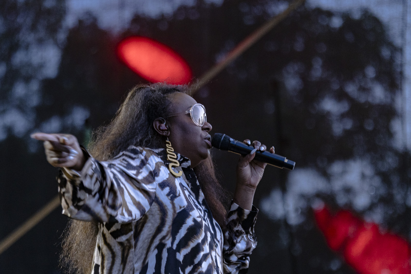 Ledisi