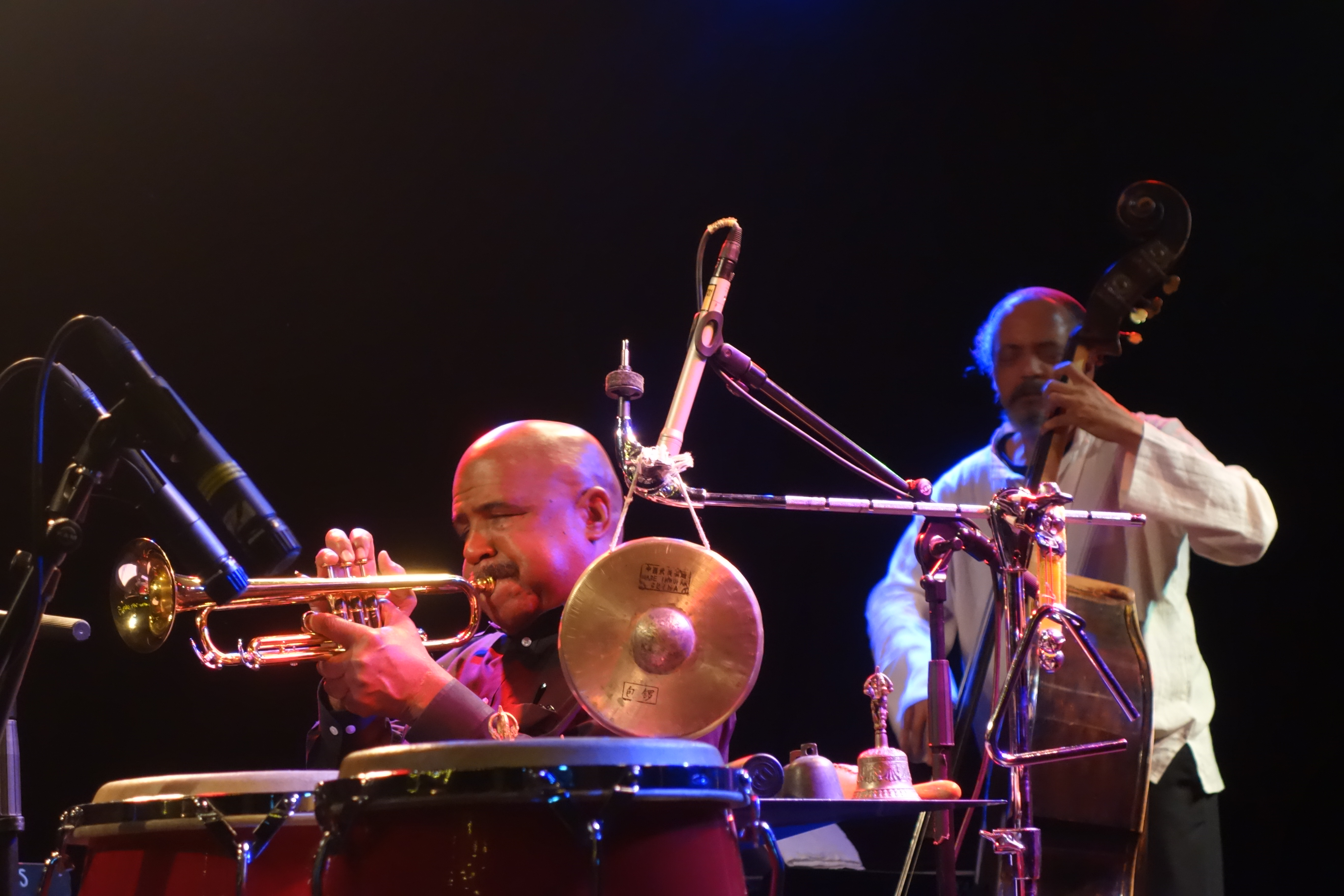 Hugh Ragin, Jaribu Shahid - Kongsberg Jazz Festival 2017