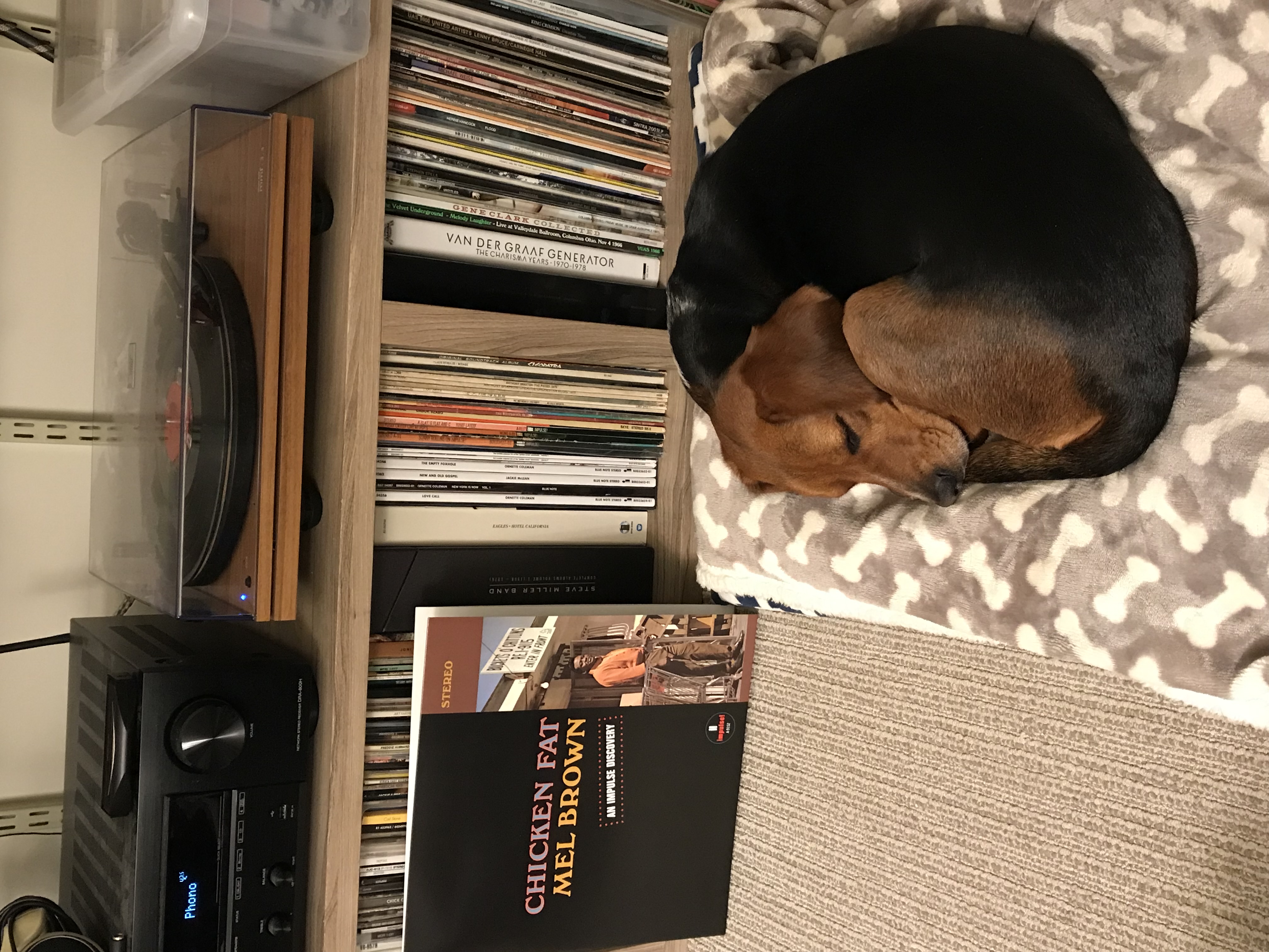 Chicken Fat Dreamin’