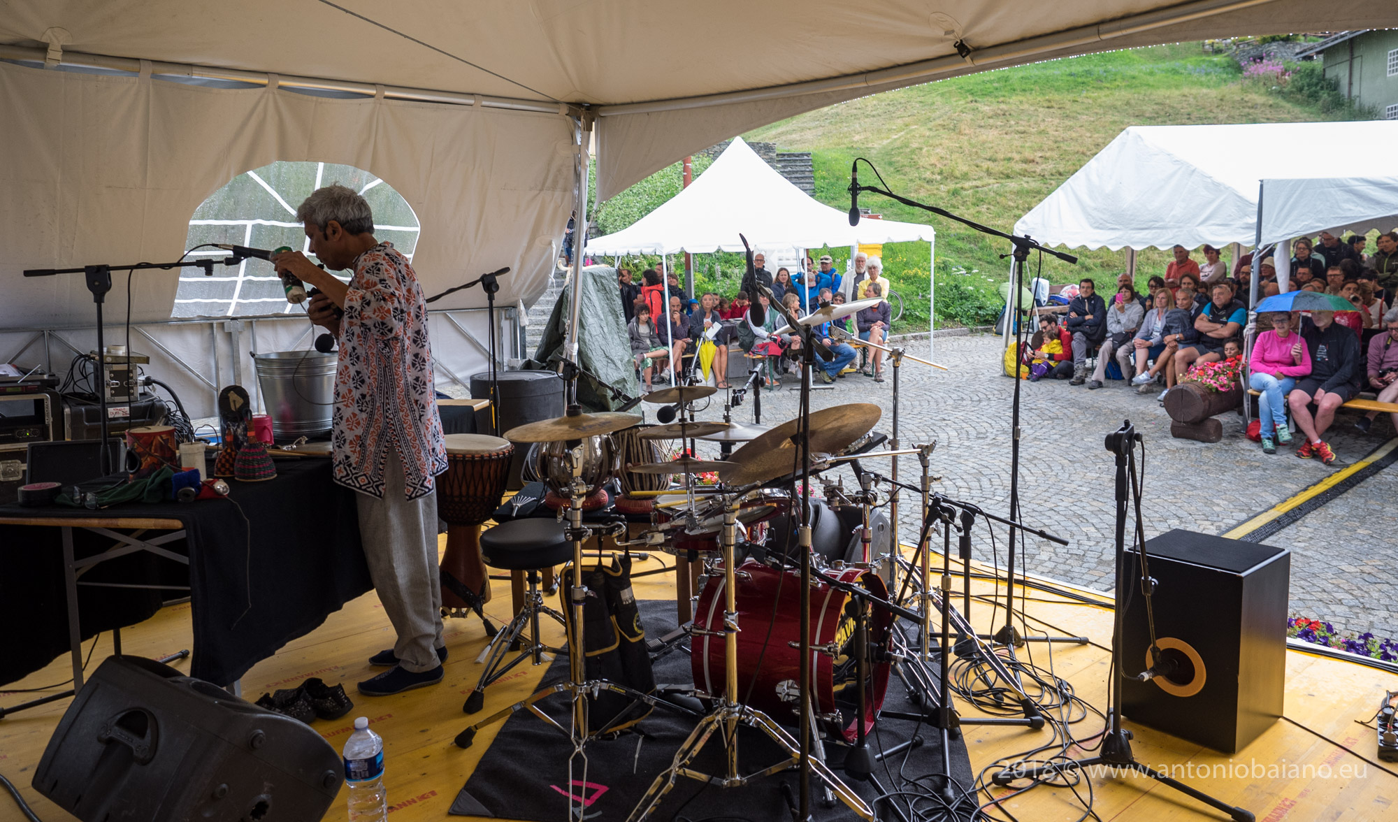 Trilok Gurtu