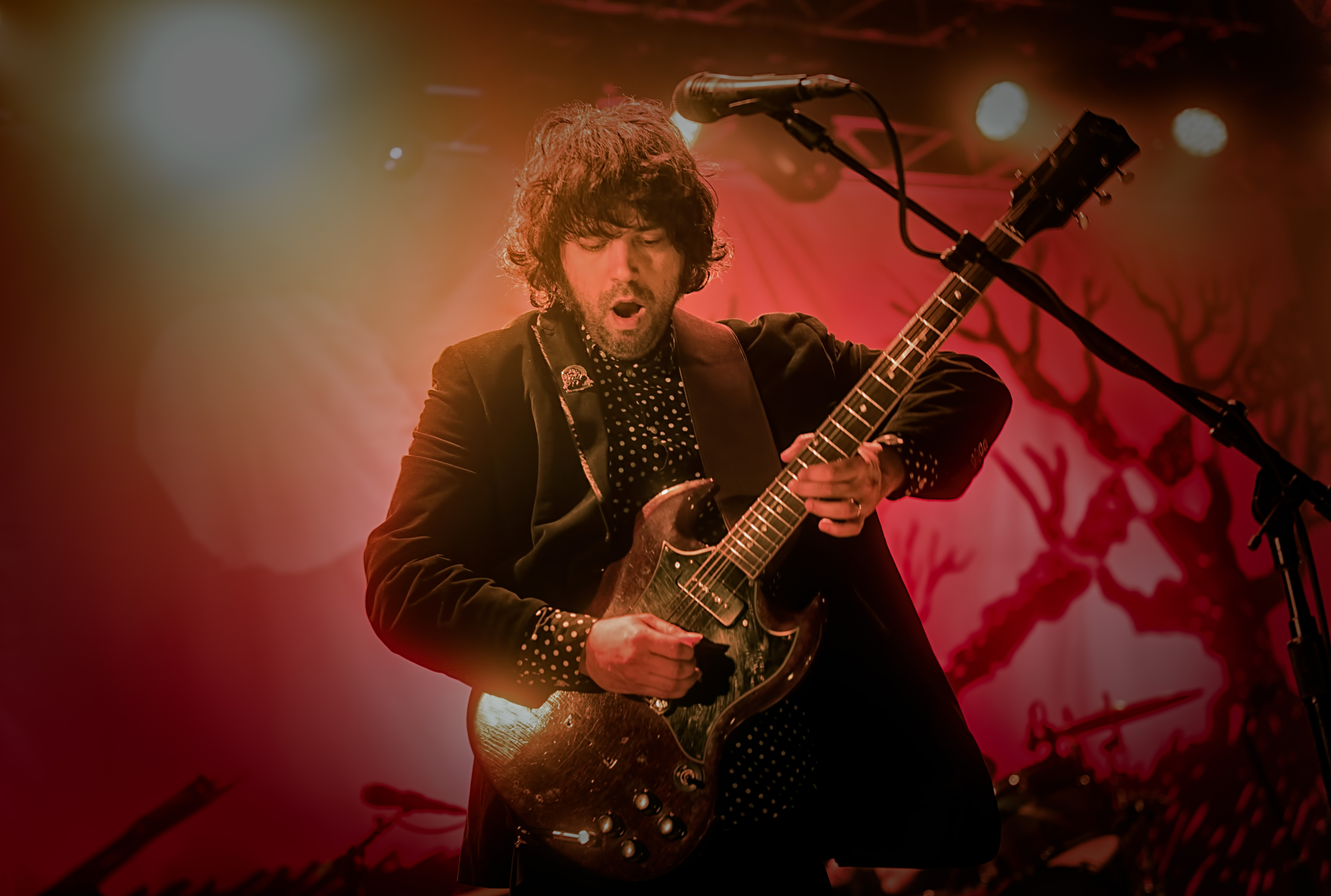 Jay Gonzalez with the Drive by Truckers at The Van Buren in Phoenix