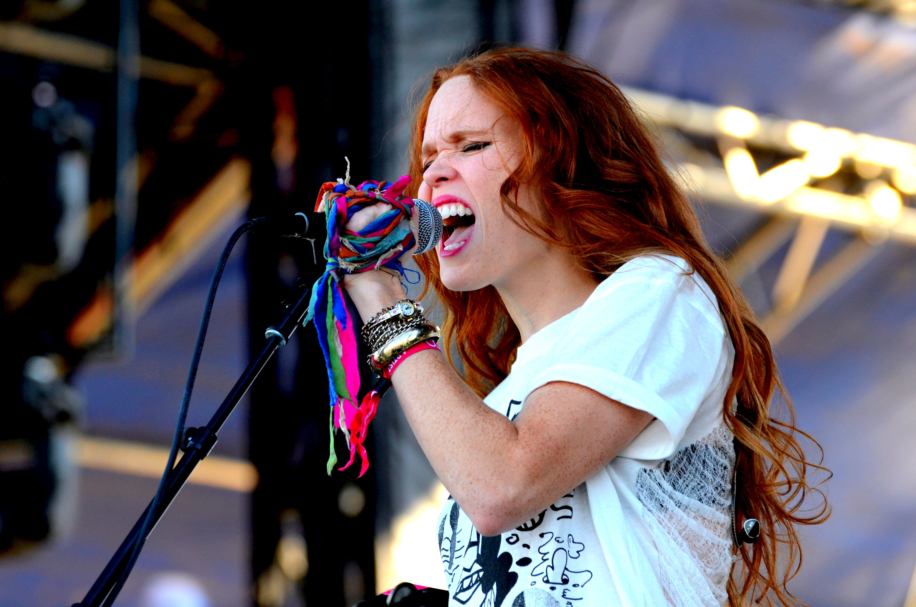 2014 Voodoo Experience