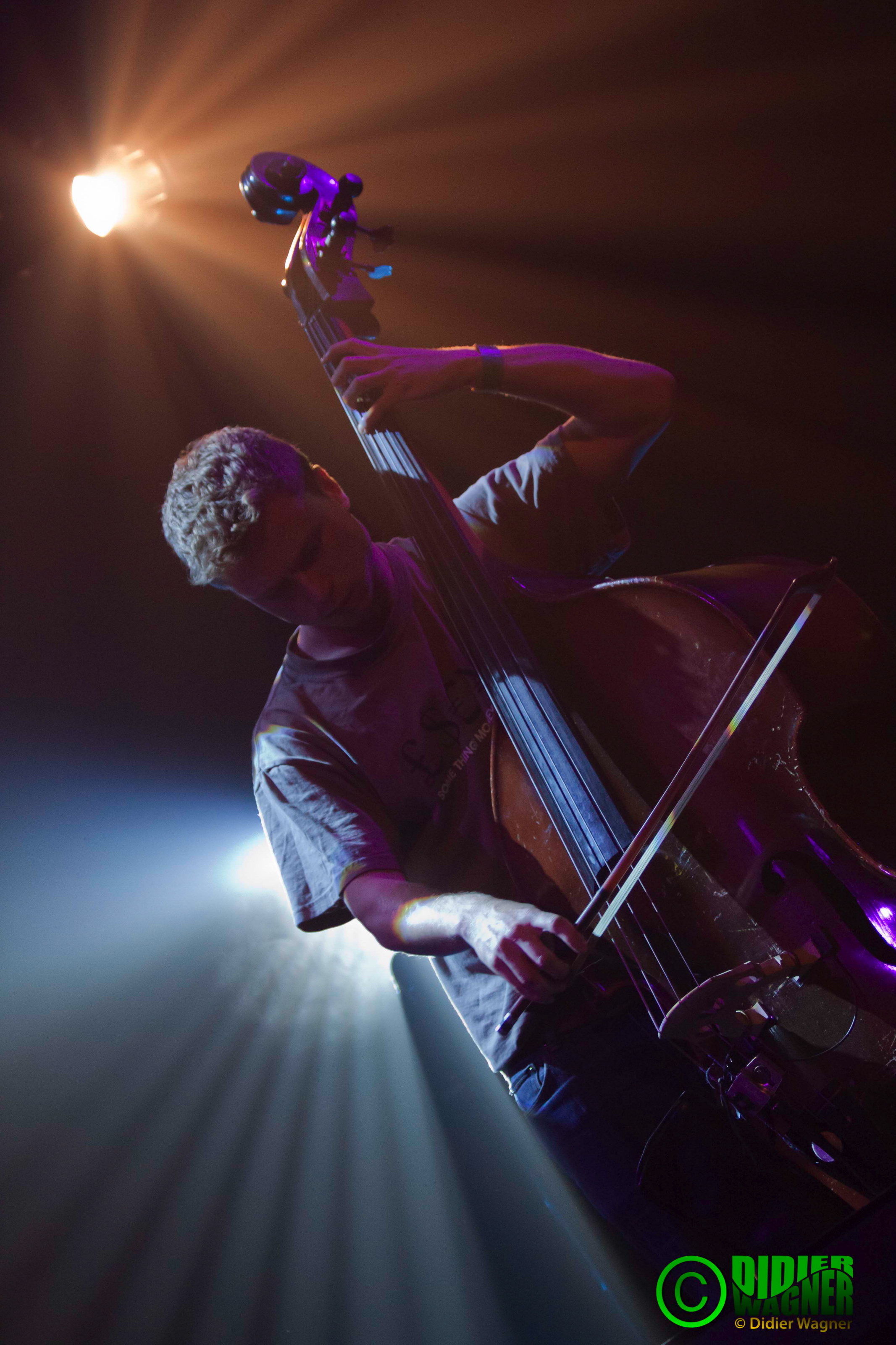 Milo Fitzpatrick
