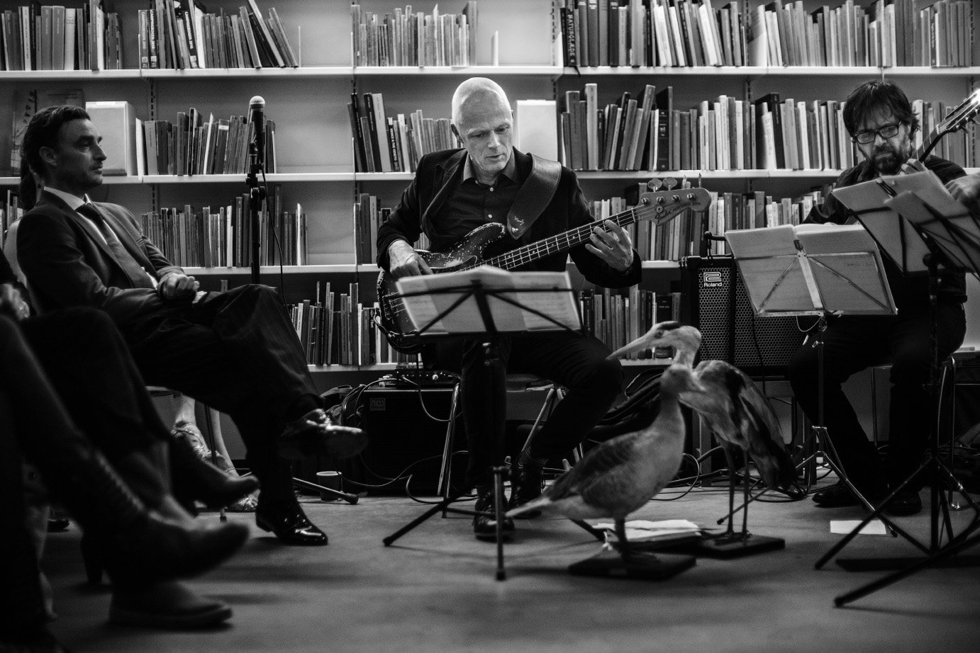 Untitled Jazz Photo