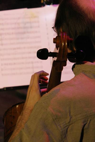 Hank Roberts with "Bill Frisell - 858 Quartet" at the Amr Jazz Festival, Alhambra, Geneva, Switzerland, April 2006