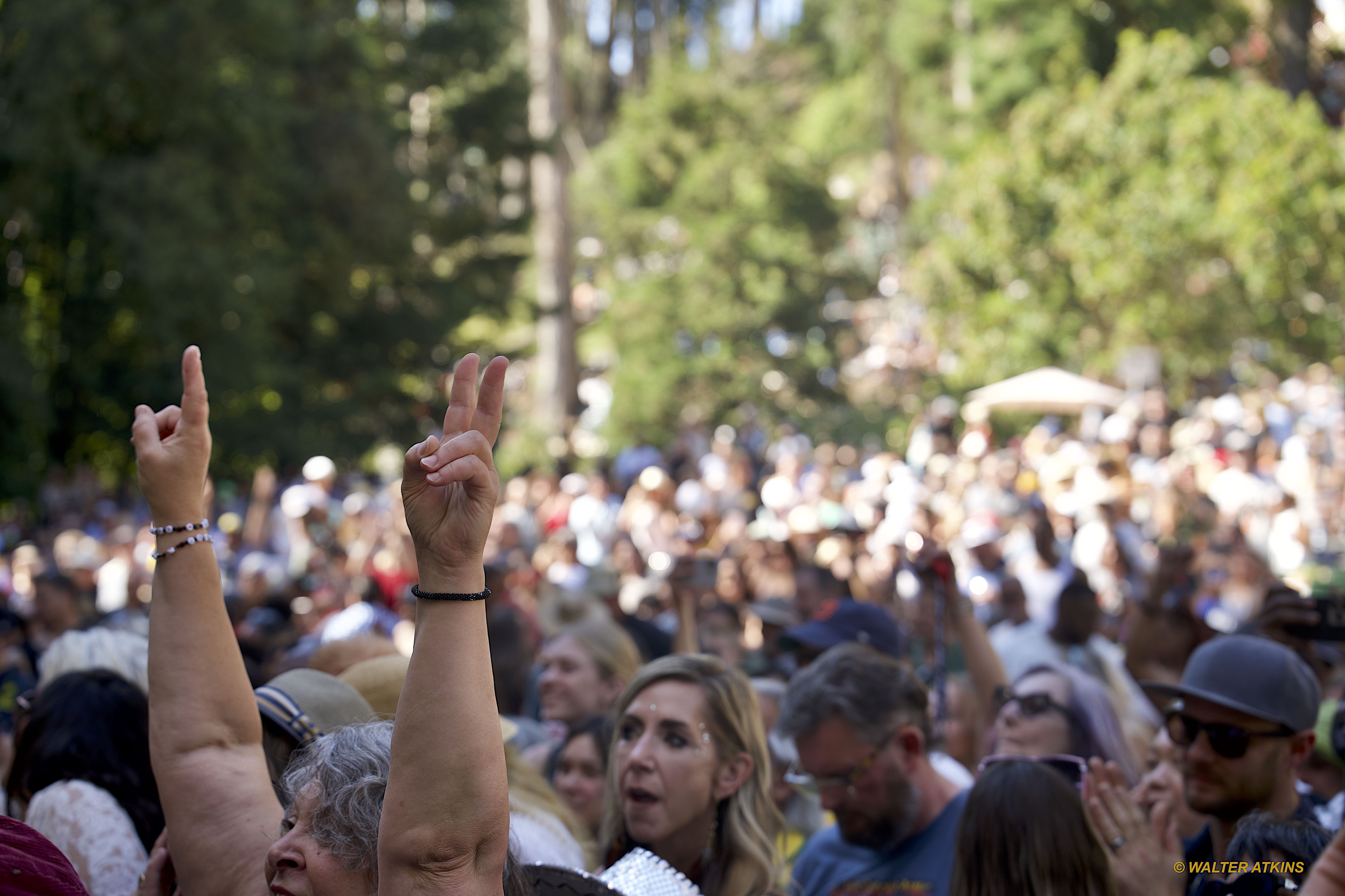 Chaka Khan at Stern Grove 2024