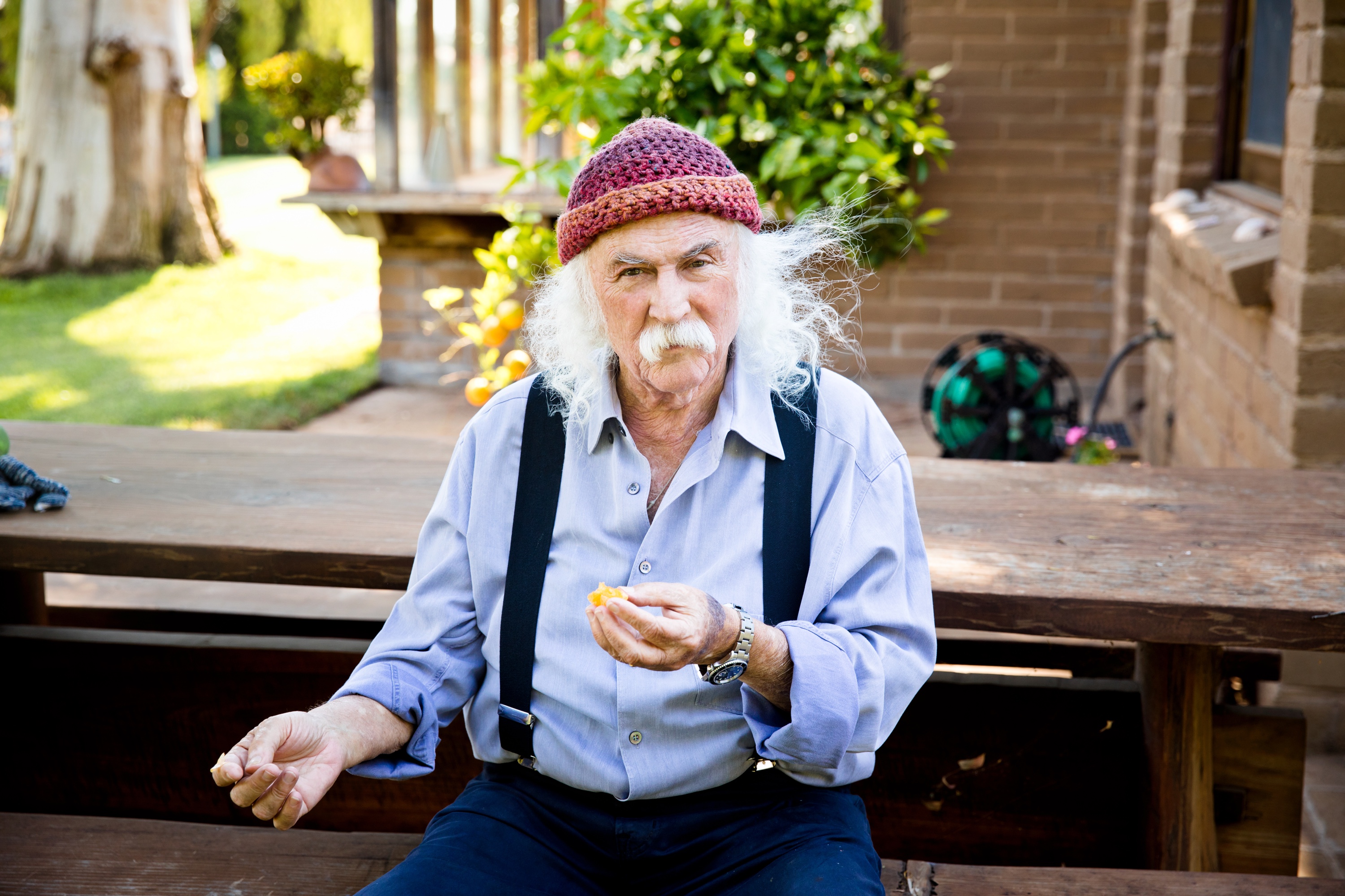 David Crosby