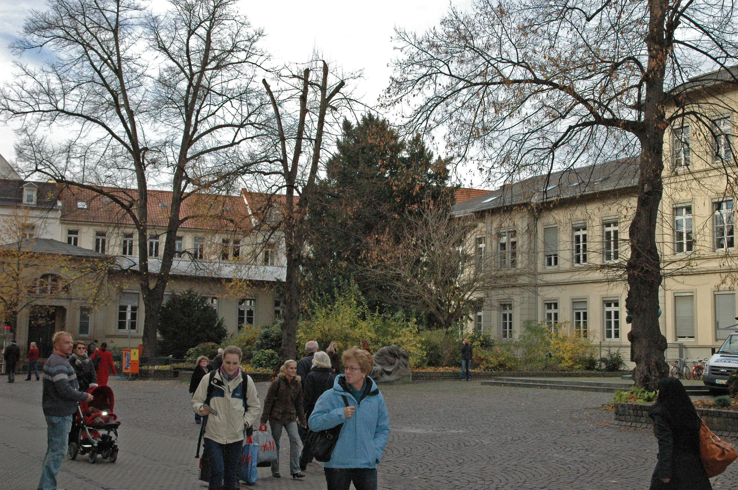 Scenes of Heidelberg, November 2010