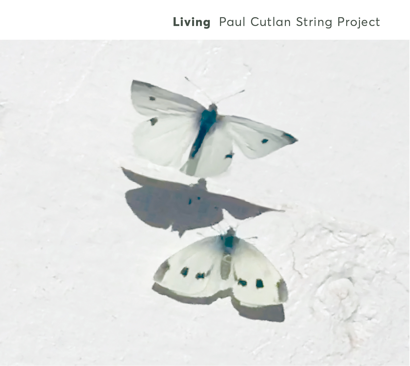 Paul Cutlan String Project