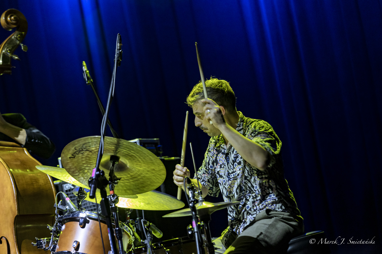 Pasquale Fiore — jazz photo by Marek J. Śmietański | All About Jazz