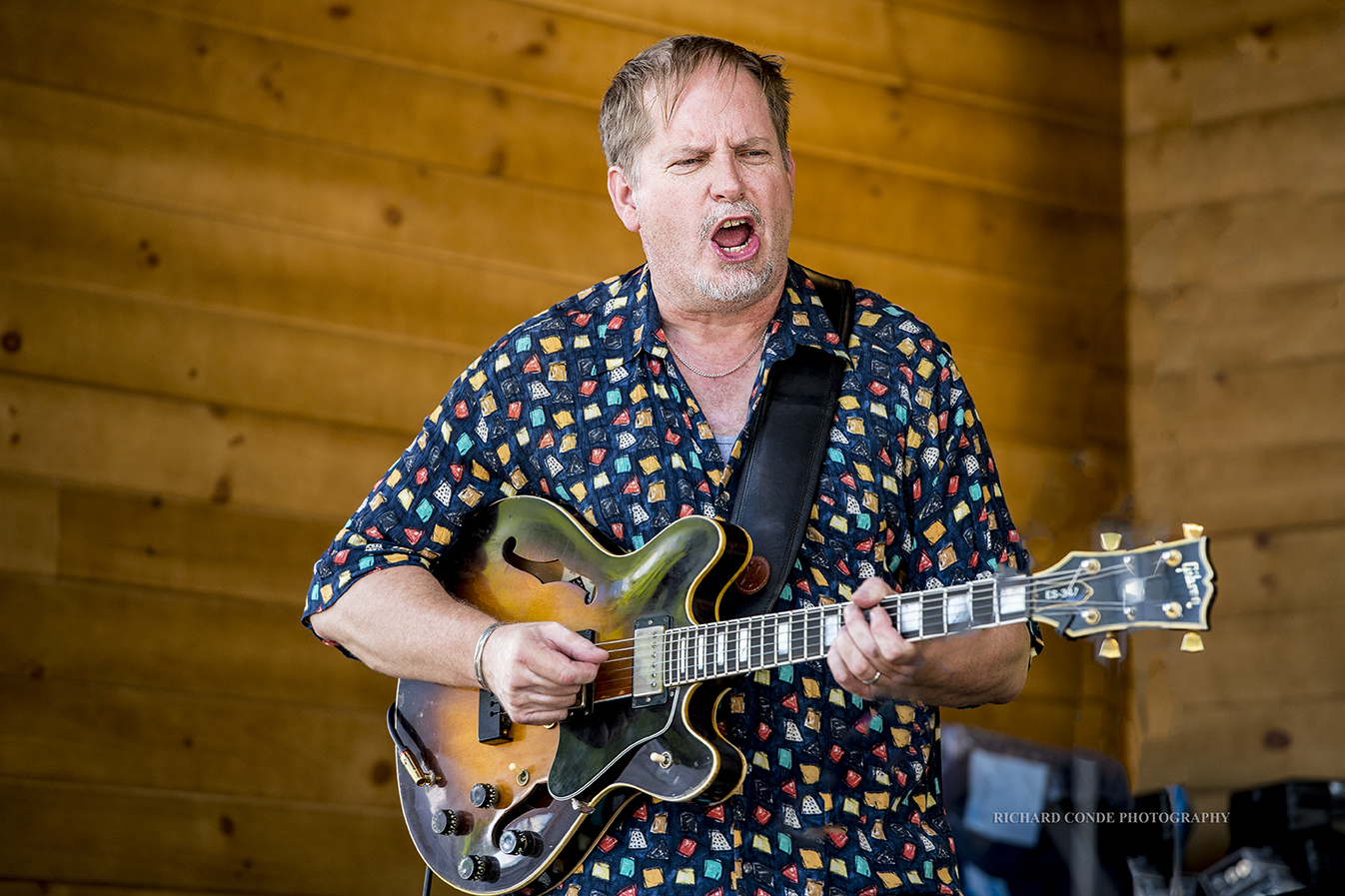 Dave Stryker at the Freihofer Saratoga Jazz Festival 2017