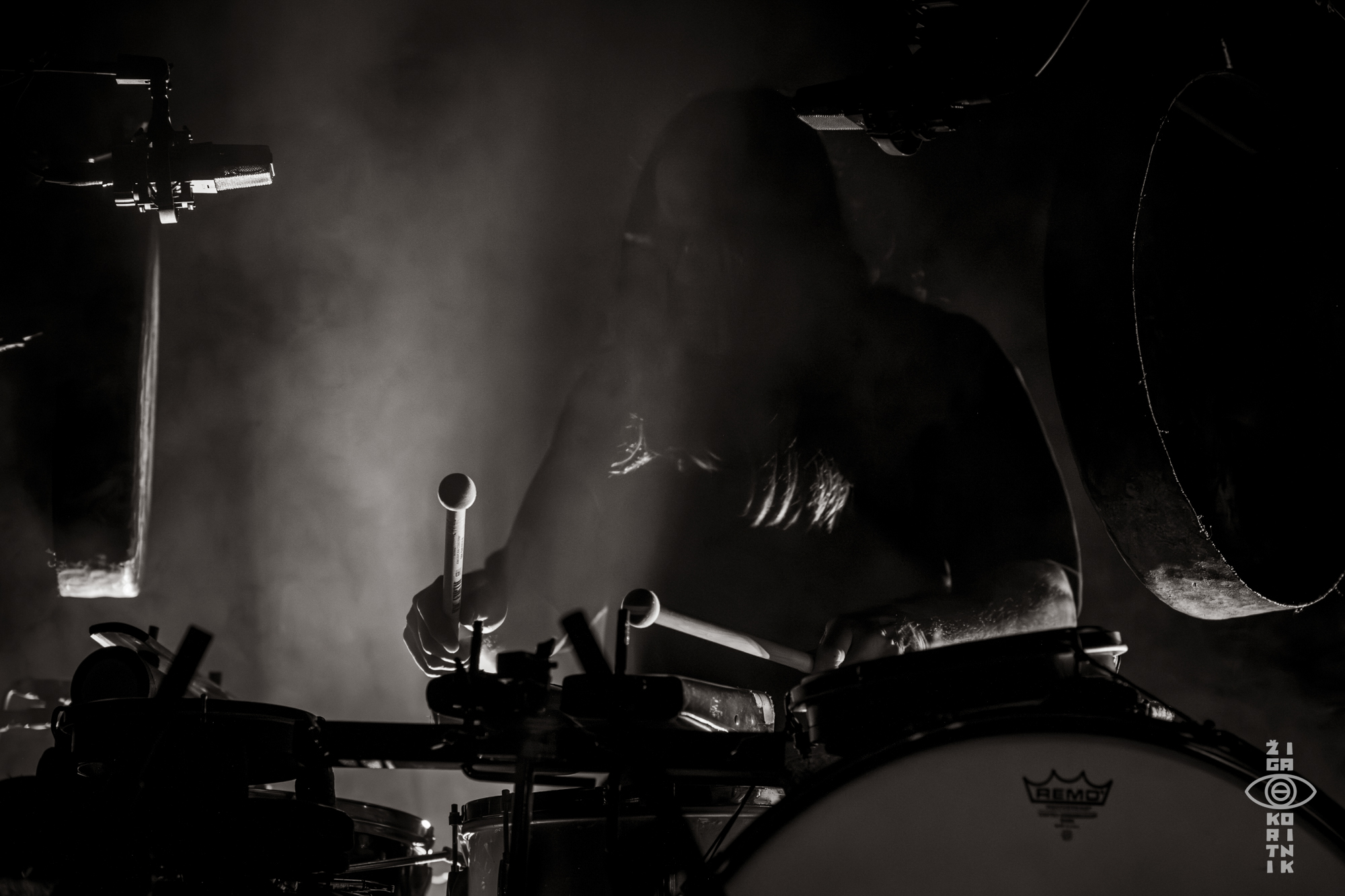 Frank Rosaly's Bimini