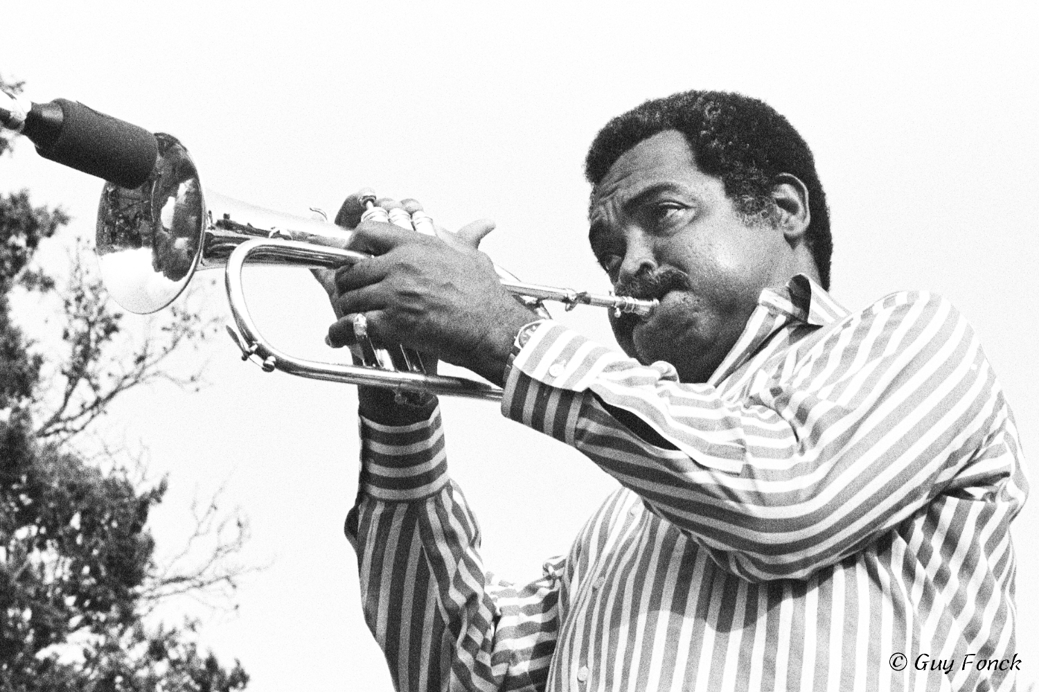 Art Farmer 1982 — jazz photo by Guy Fonck | All About Jazz