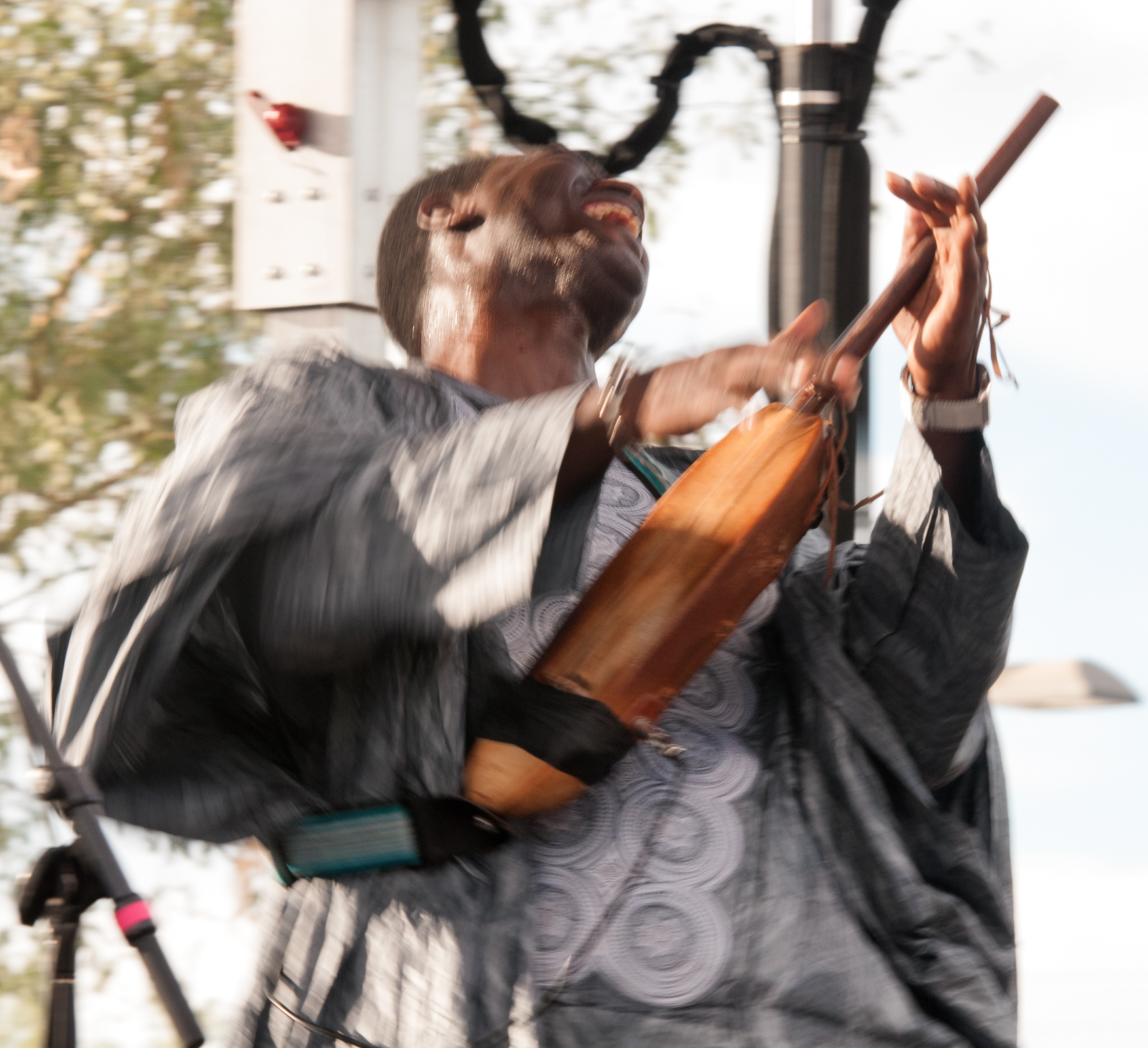 Bassekou Kouyate And Ngnoni Ba At The Mim Global Music Festival