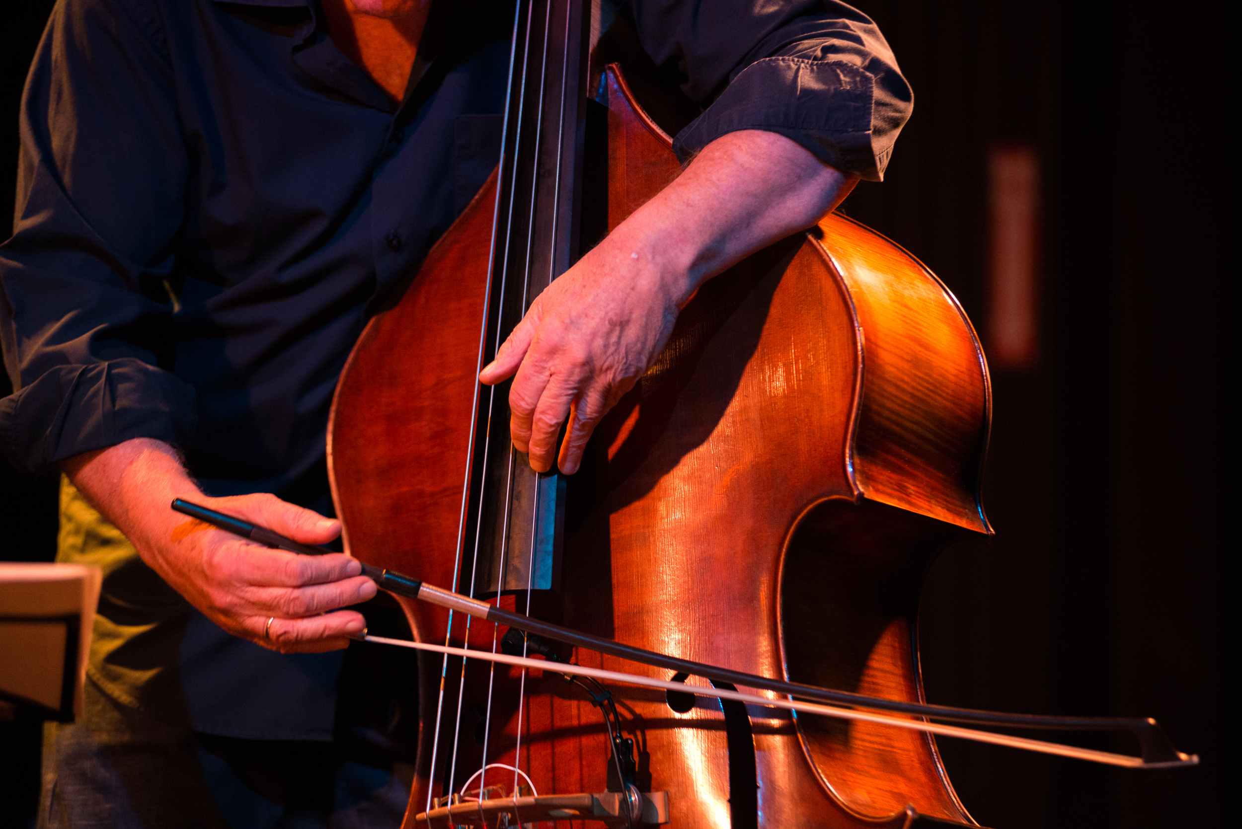 Arild Andersen Trio, Club Control, Bucharest, october 2018