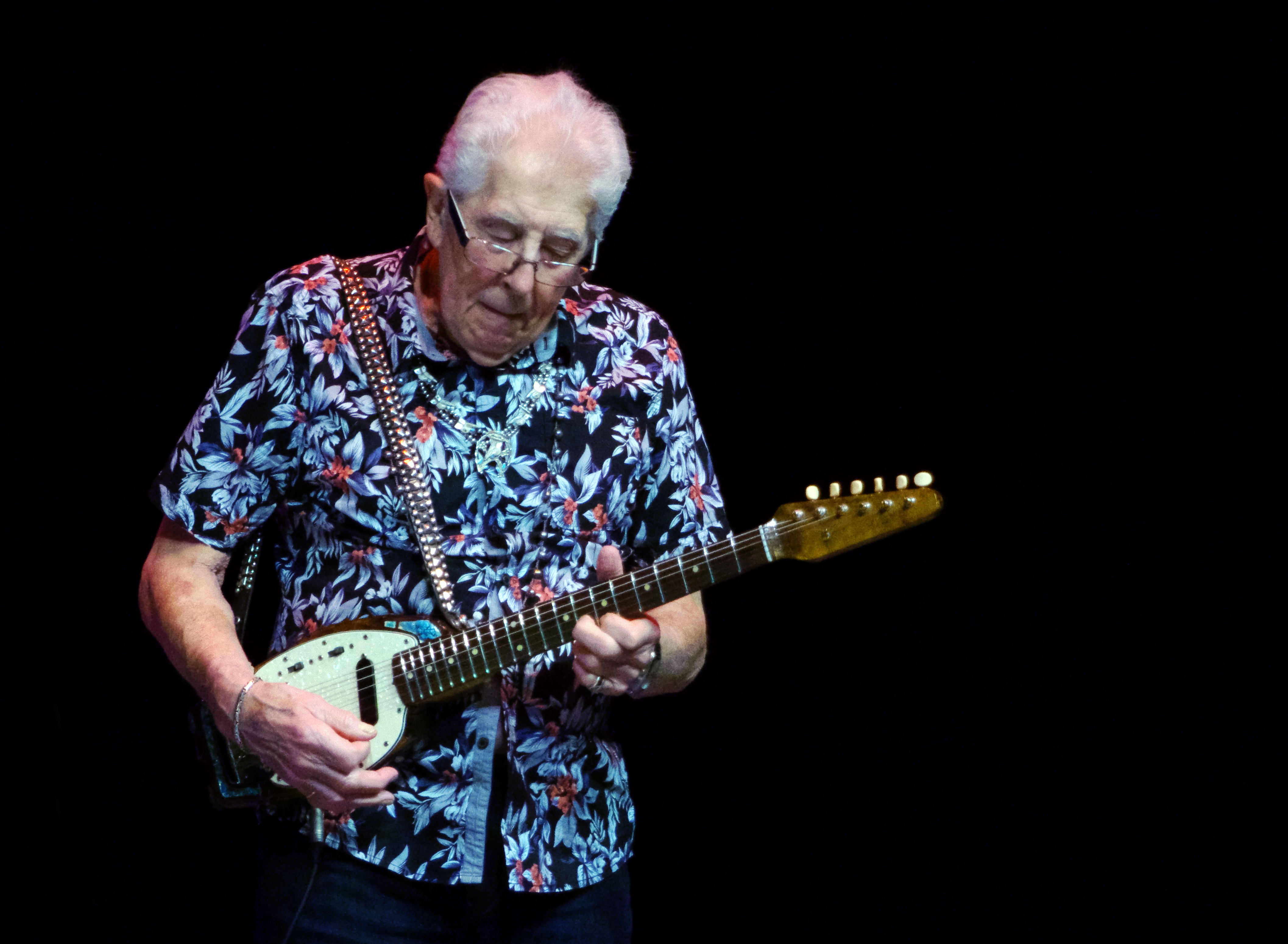 John Mayall in Concert