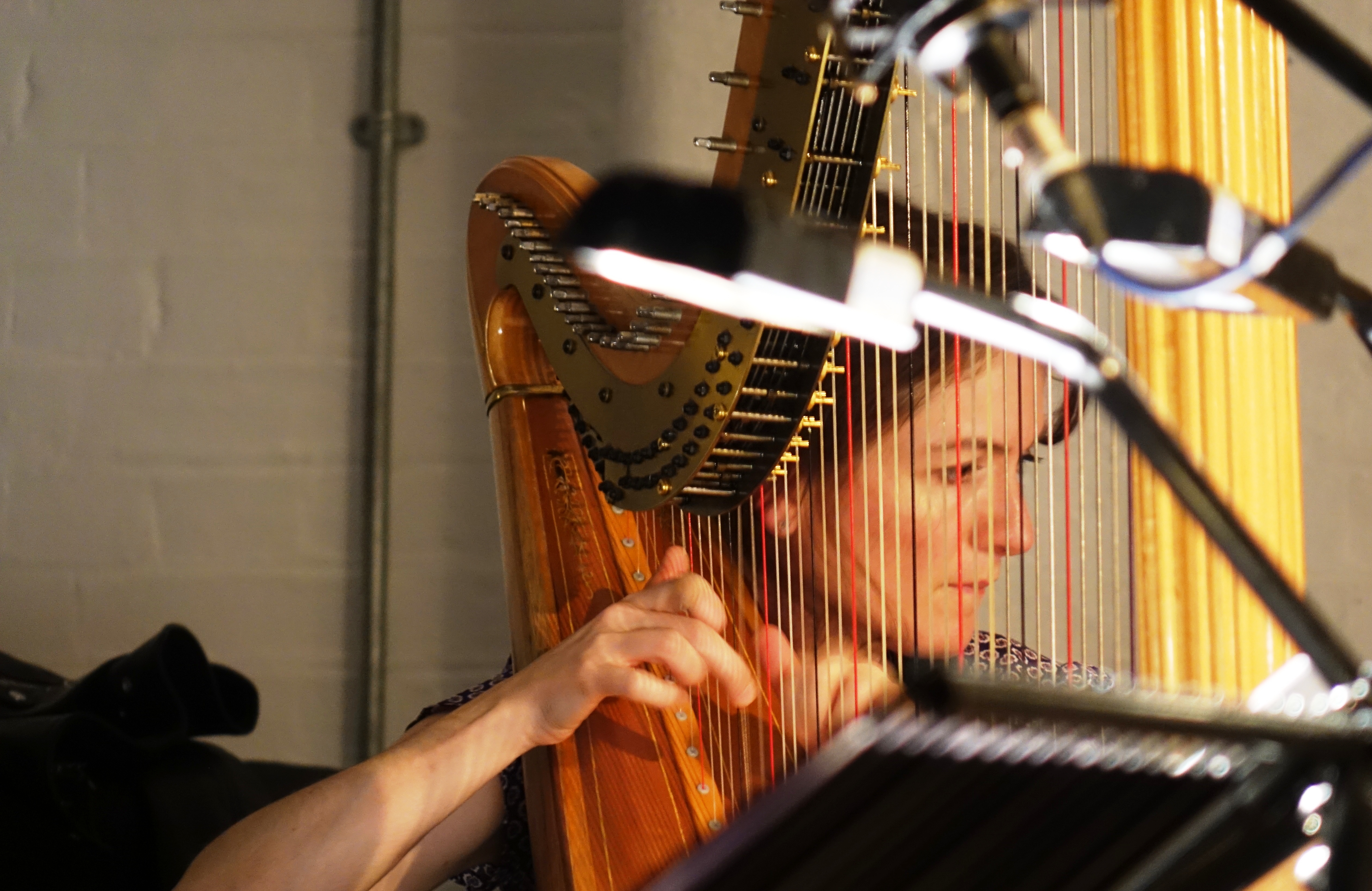 Jacqueline Kerrod at Cafe Oto, London in May 2018